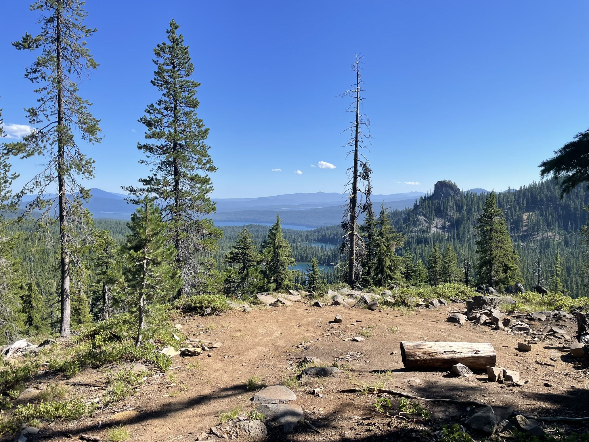 Panoramic mountain view with a distant lake, surrounded by pine trees. - PCT: Oregon Section E - Highway 58 to Highway 242 (McKenzie Pass)