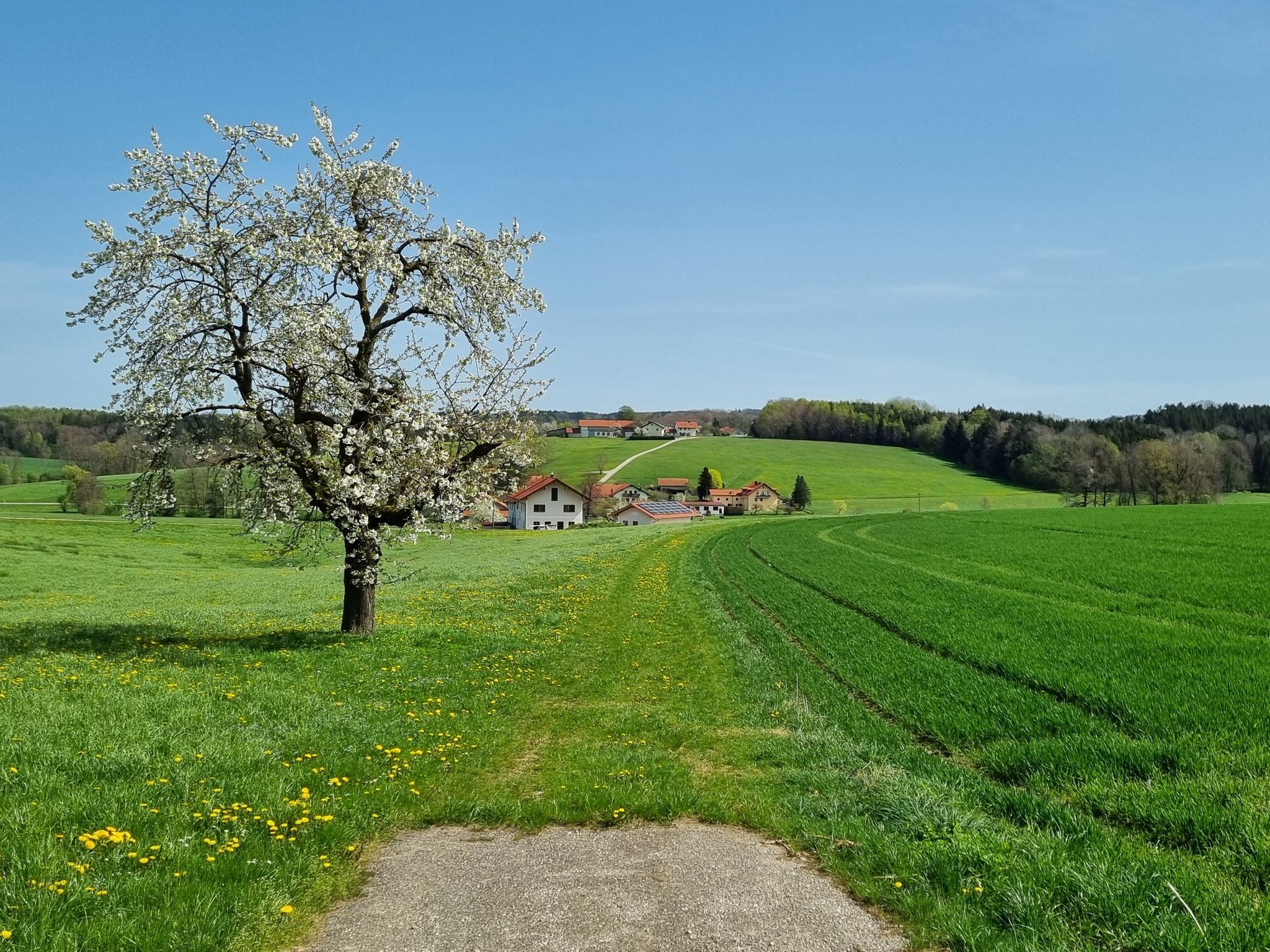 Kachelpfad