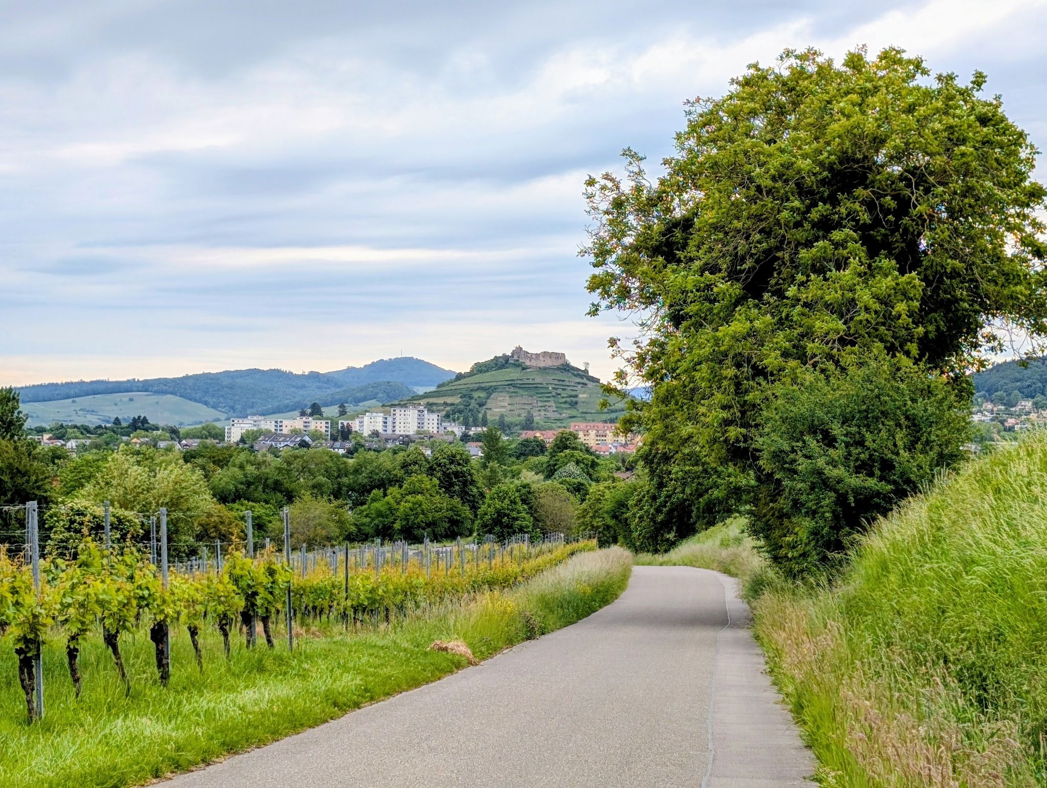 Blick auf Staufen