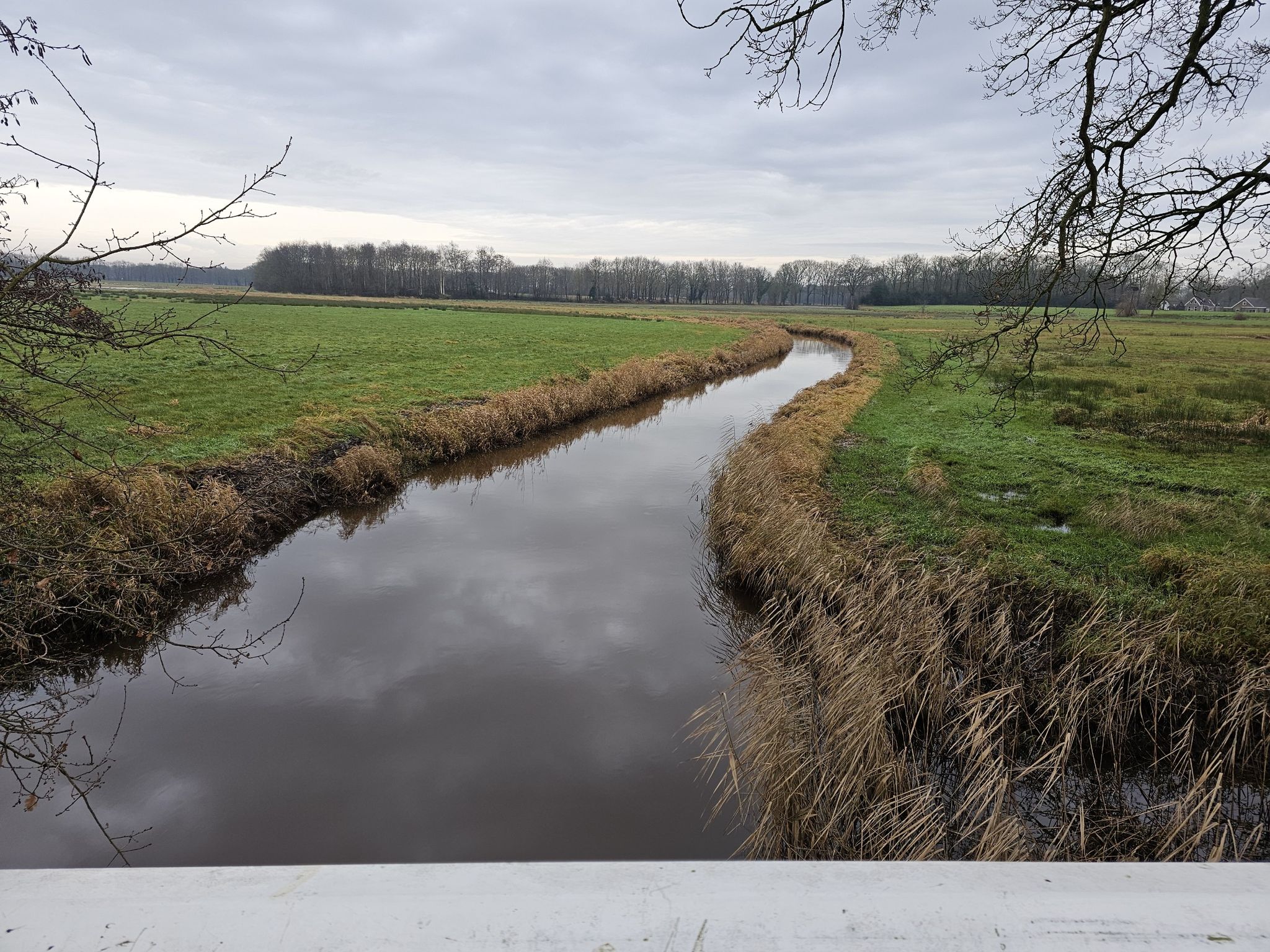 de Reest