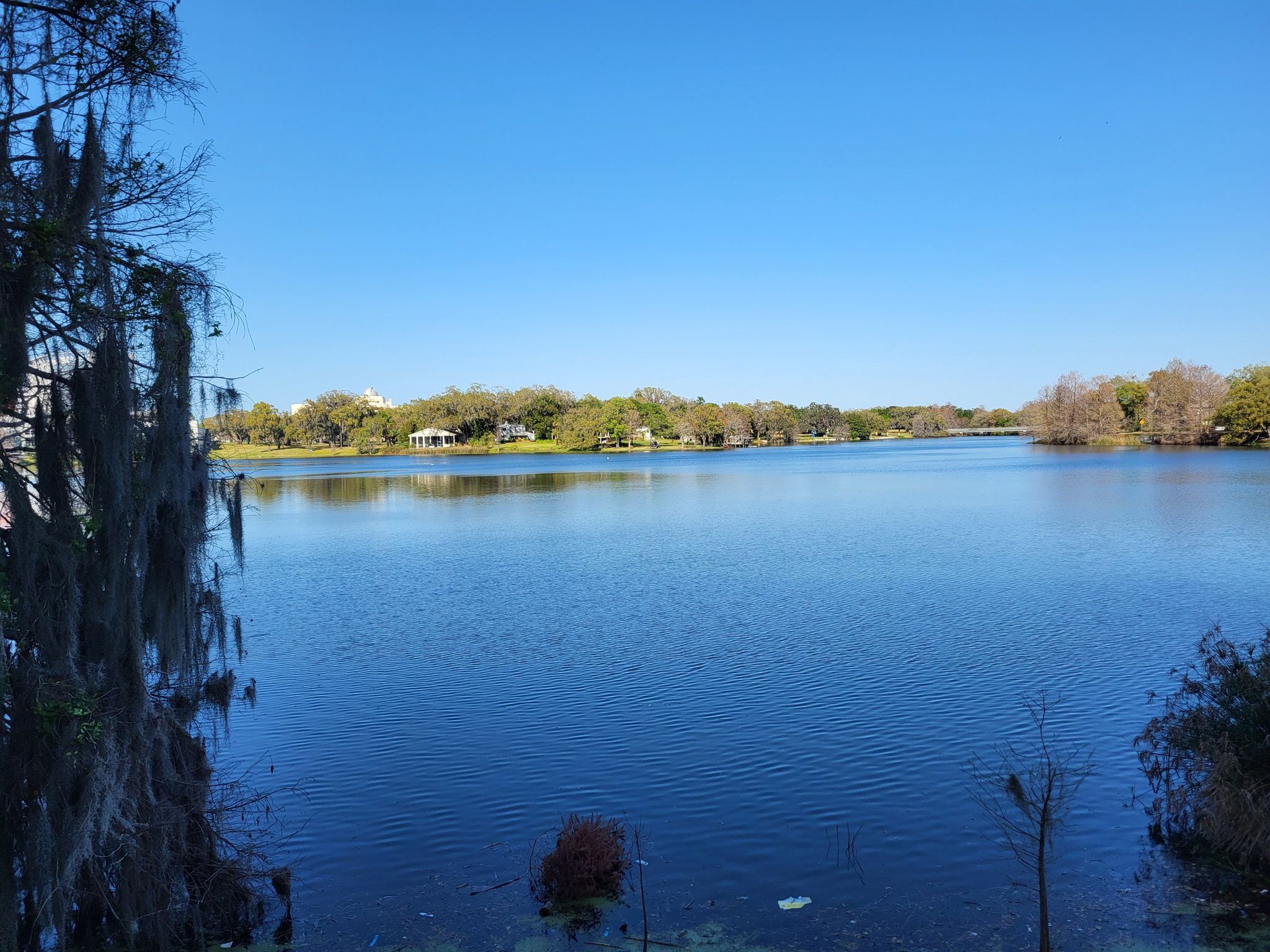 A wide blue lake under a clear sky, framed by trees. - Lakes loop