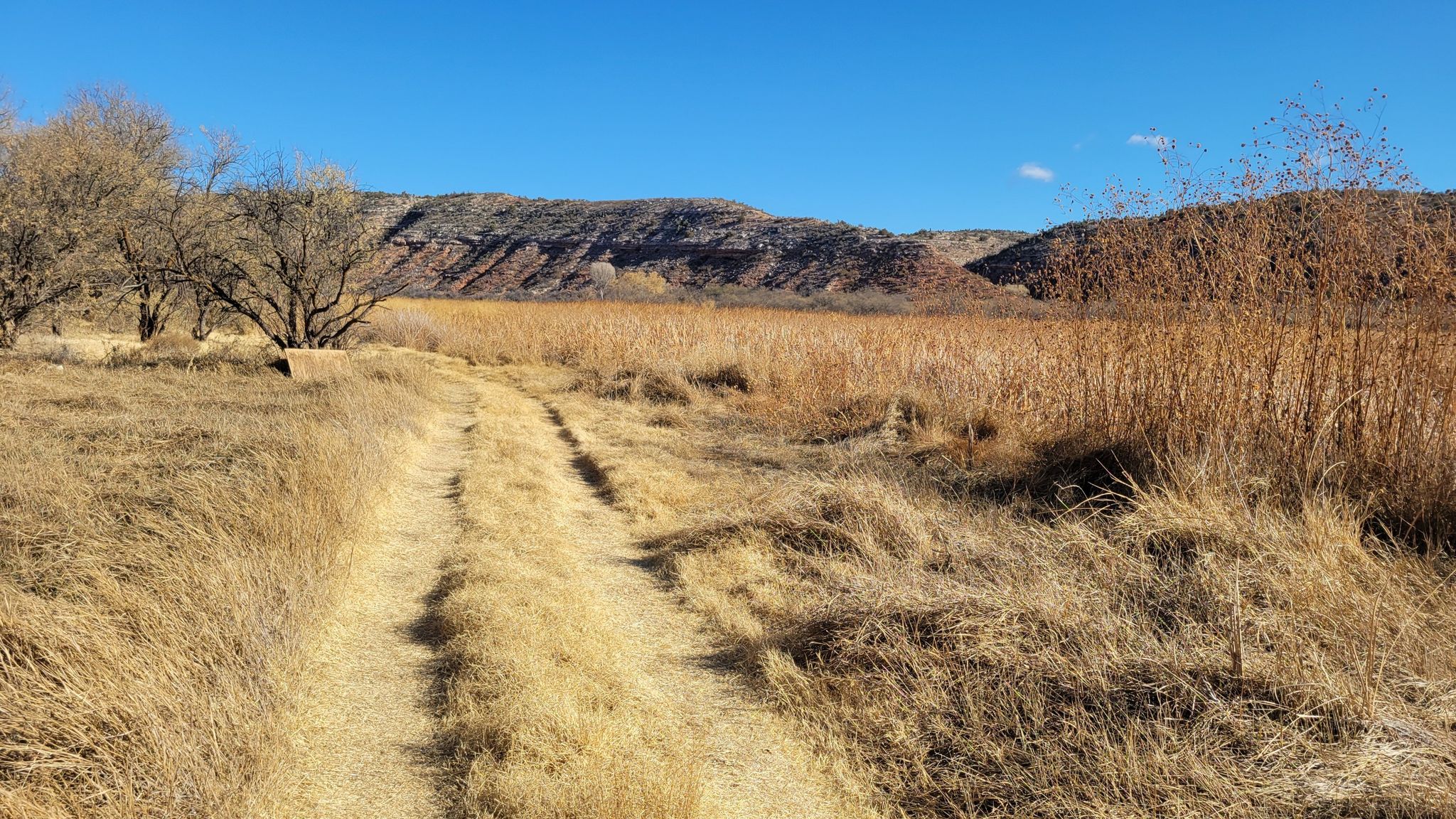 Dirt path through golden fields, leading towards rocky hills. - Tuzigoot Pueblo and Tavasci Marsh Overlook Trail