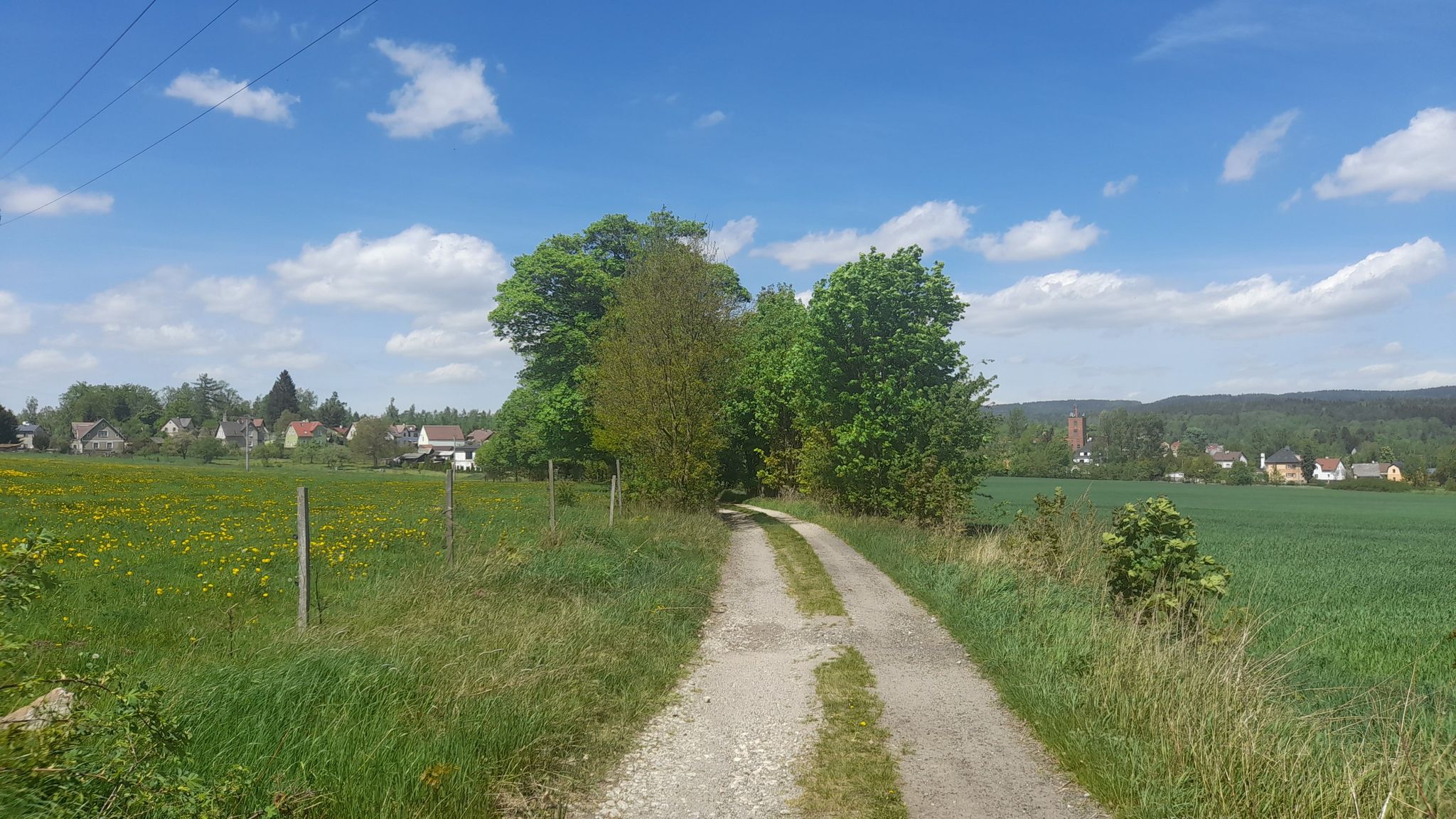 Blick zurück nach Hazlov