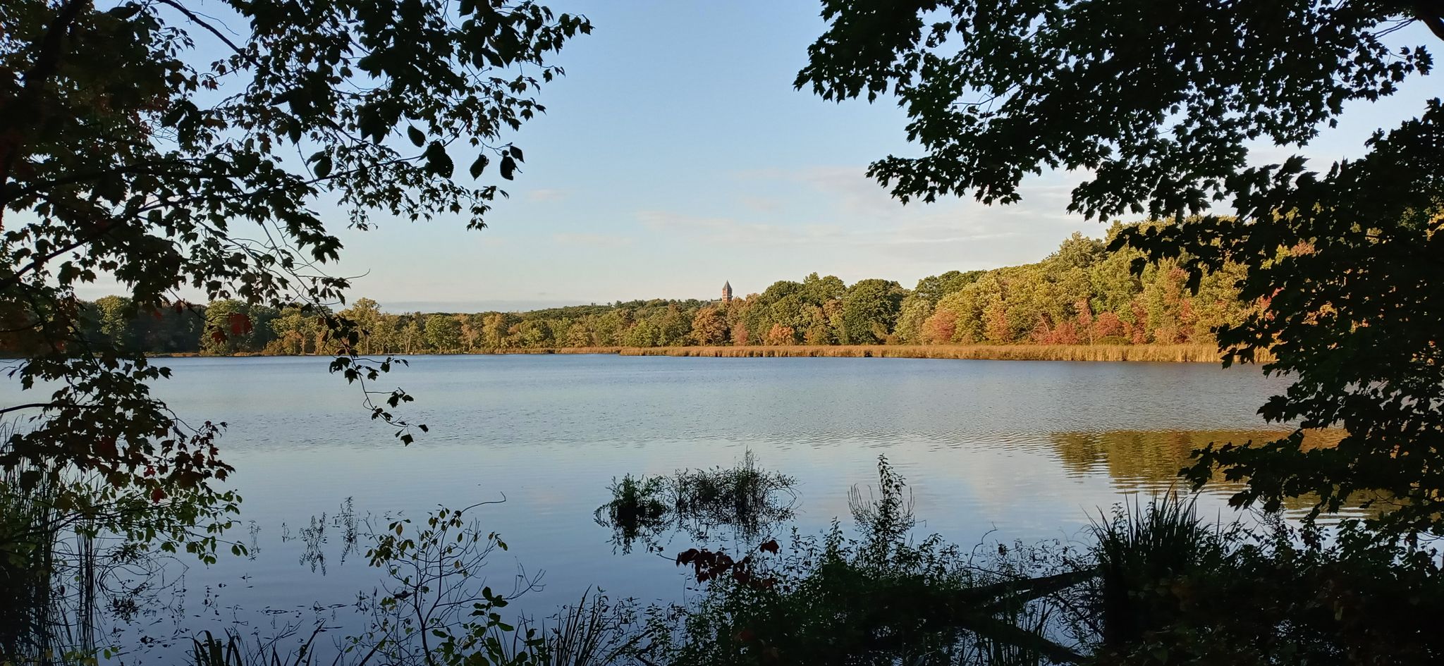 A serene lake framed by trees, with a distant forested shoreline at sunset. - Healthy Heart Trail