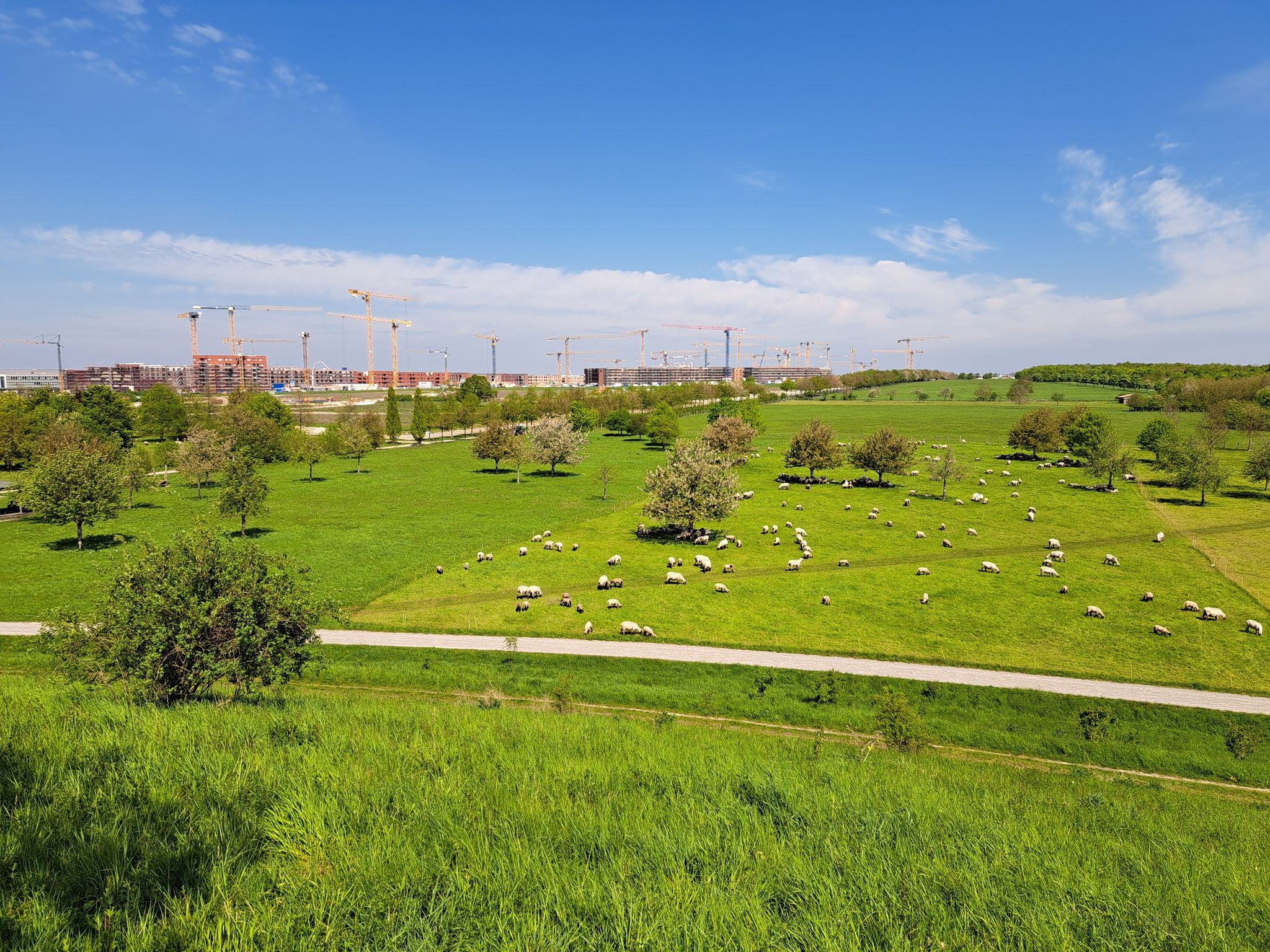 Kronsberg Süd