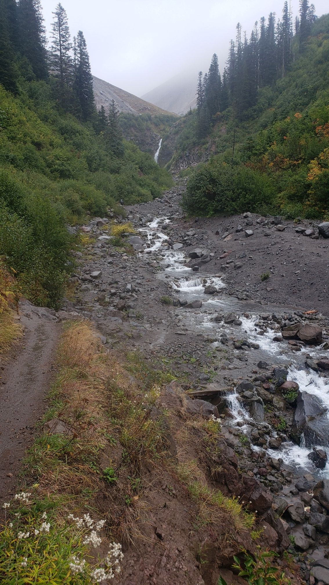 Rocky stream flows through a steep, forested valley under a cloudy sky. - Paradise Park Loop from Timberline Lodge
