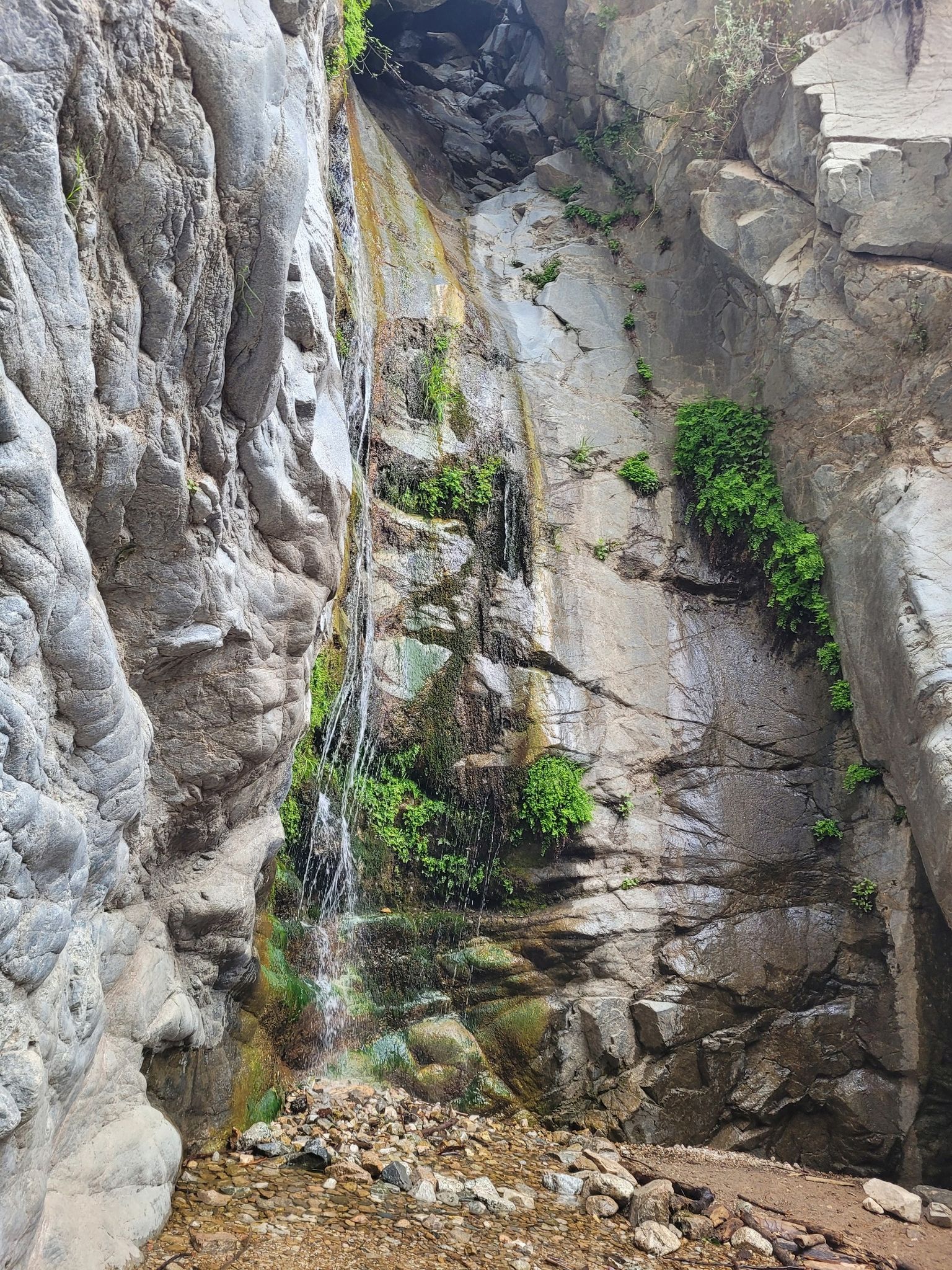 Waterfall cascades down a rocky canyon wall with green foliage in bright light. - Mount Lowe Canyon Loop Trail
