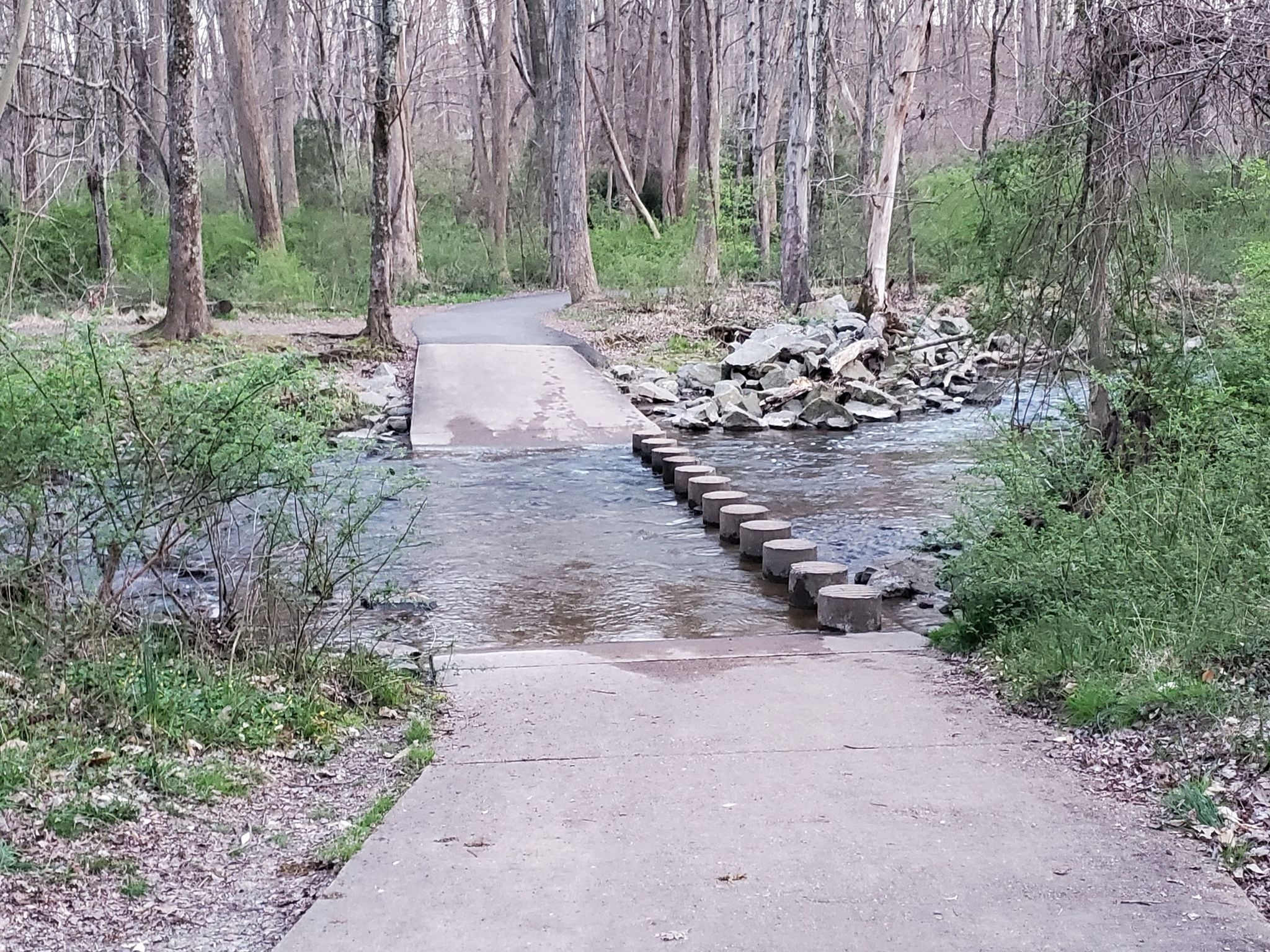 Concrete path leads to stepping stones across a stream in a wooded area. - Holmes Run Trail and Roundtree Park Loop