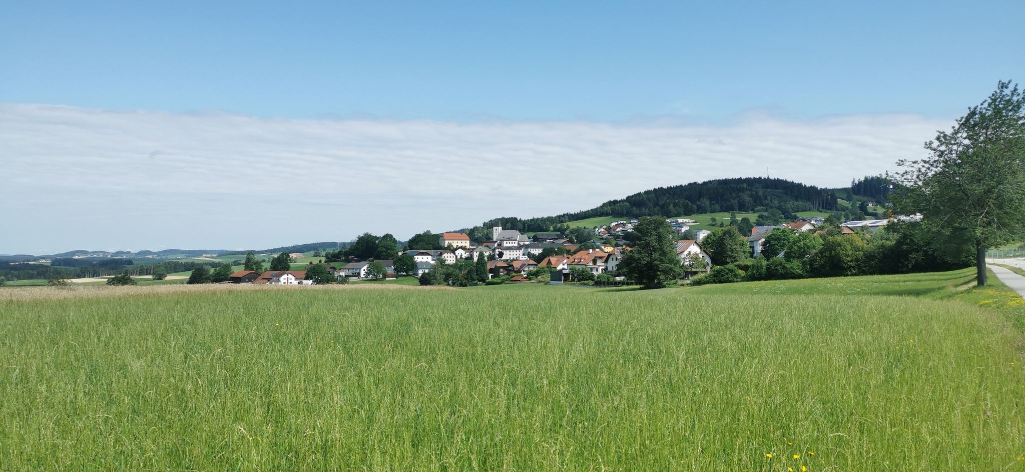 Grünbach