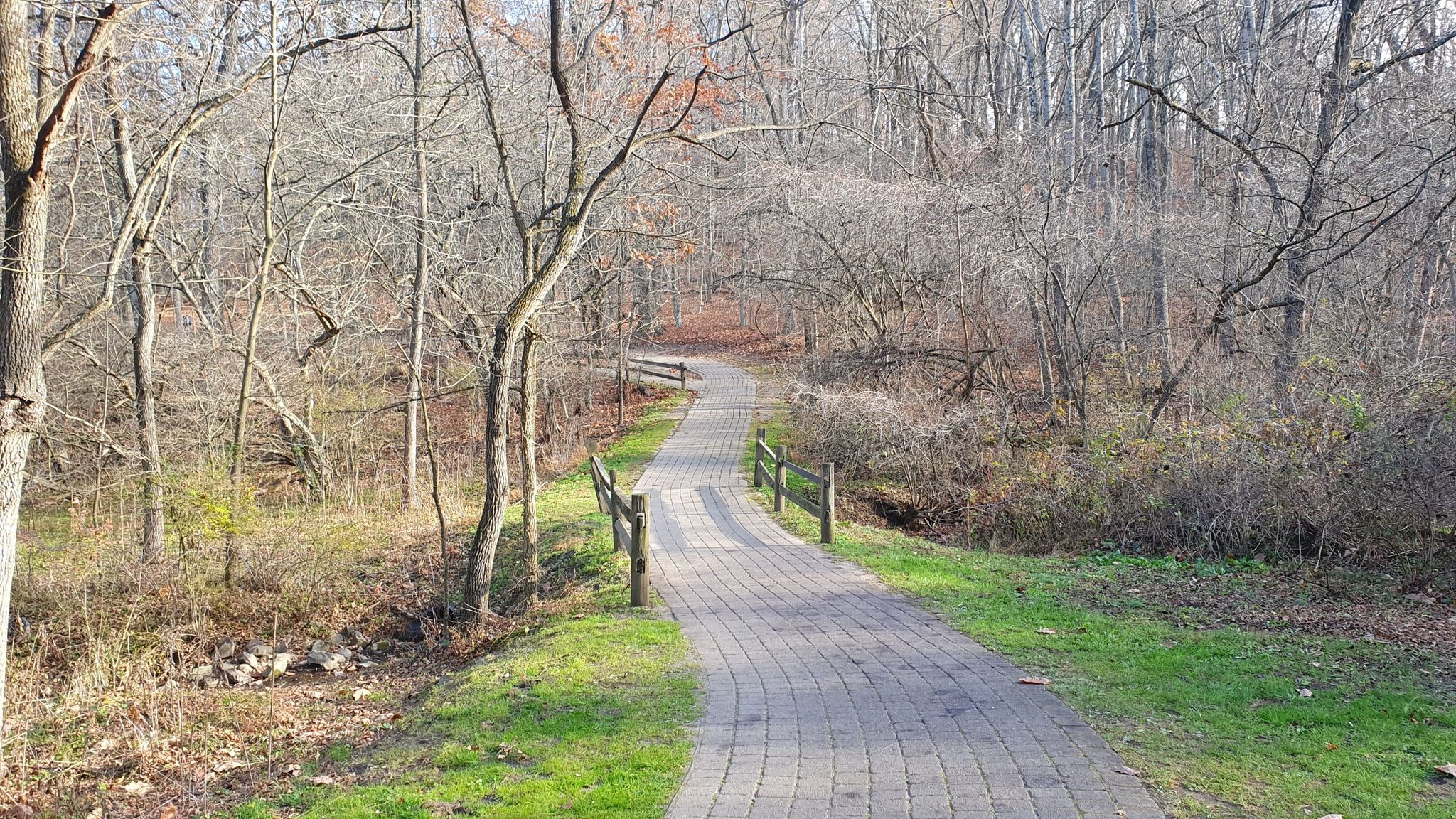 Winding paved path through sunny woods with bare trees and a fence. - Twin Lakes loop from Luxor