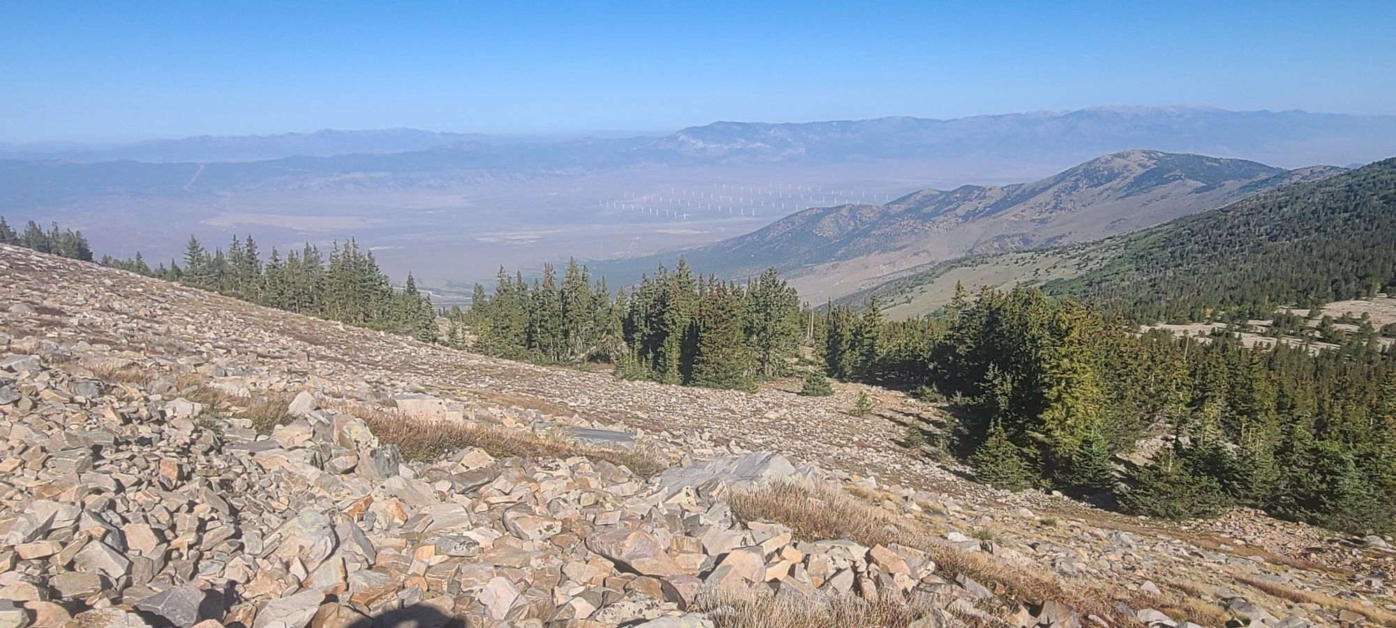 A rocky mountain slope with scattered pines overlooks a vast valley. - Wheeler Peak Summit Trail