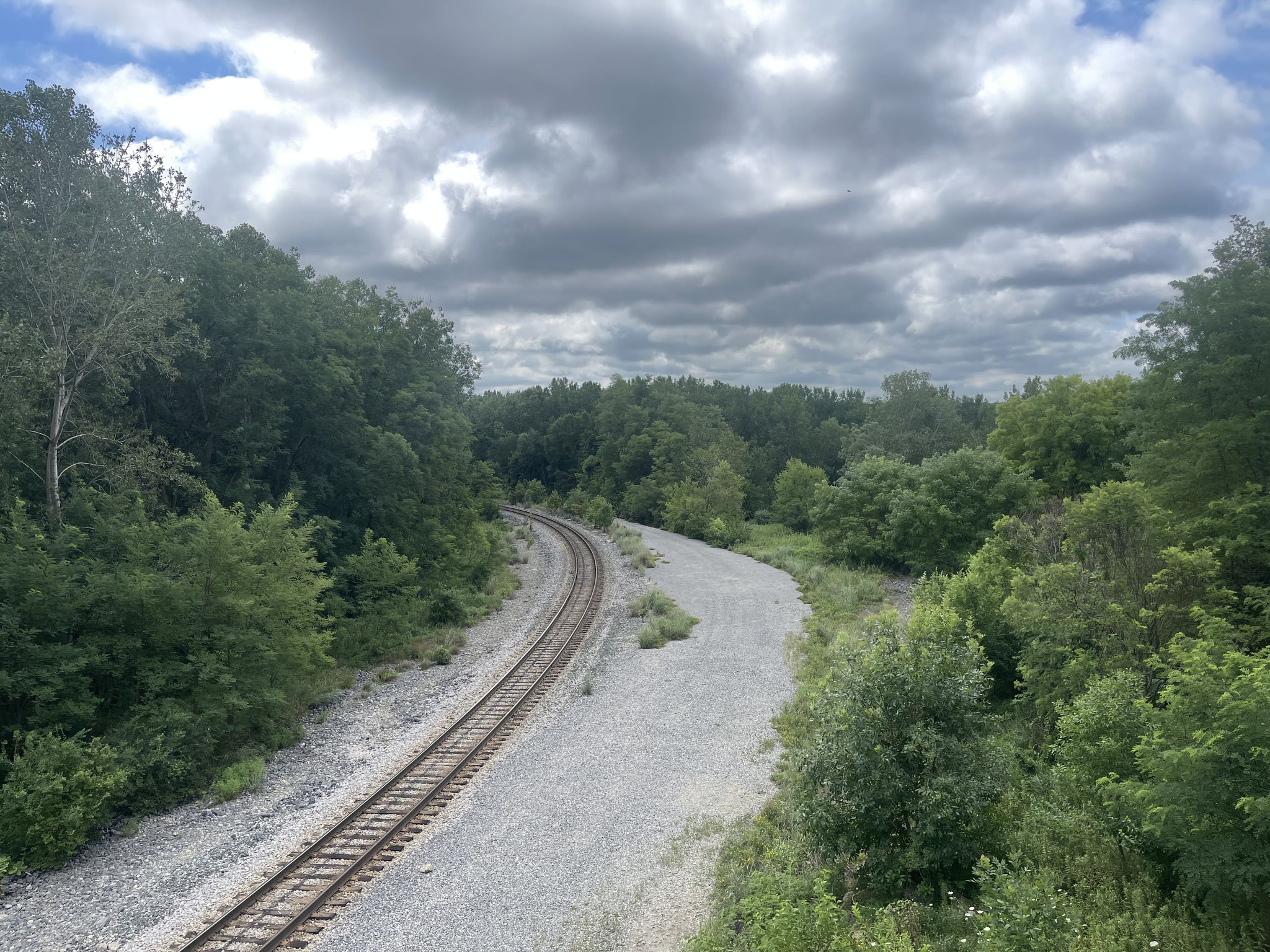 Railroad tracks curve through a dense green forest under a cloudy sky. - Schwiebert Riverfront Park – Sylvan Slough loop from Davenport