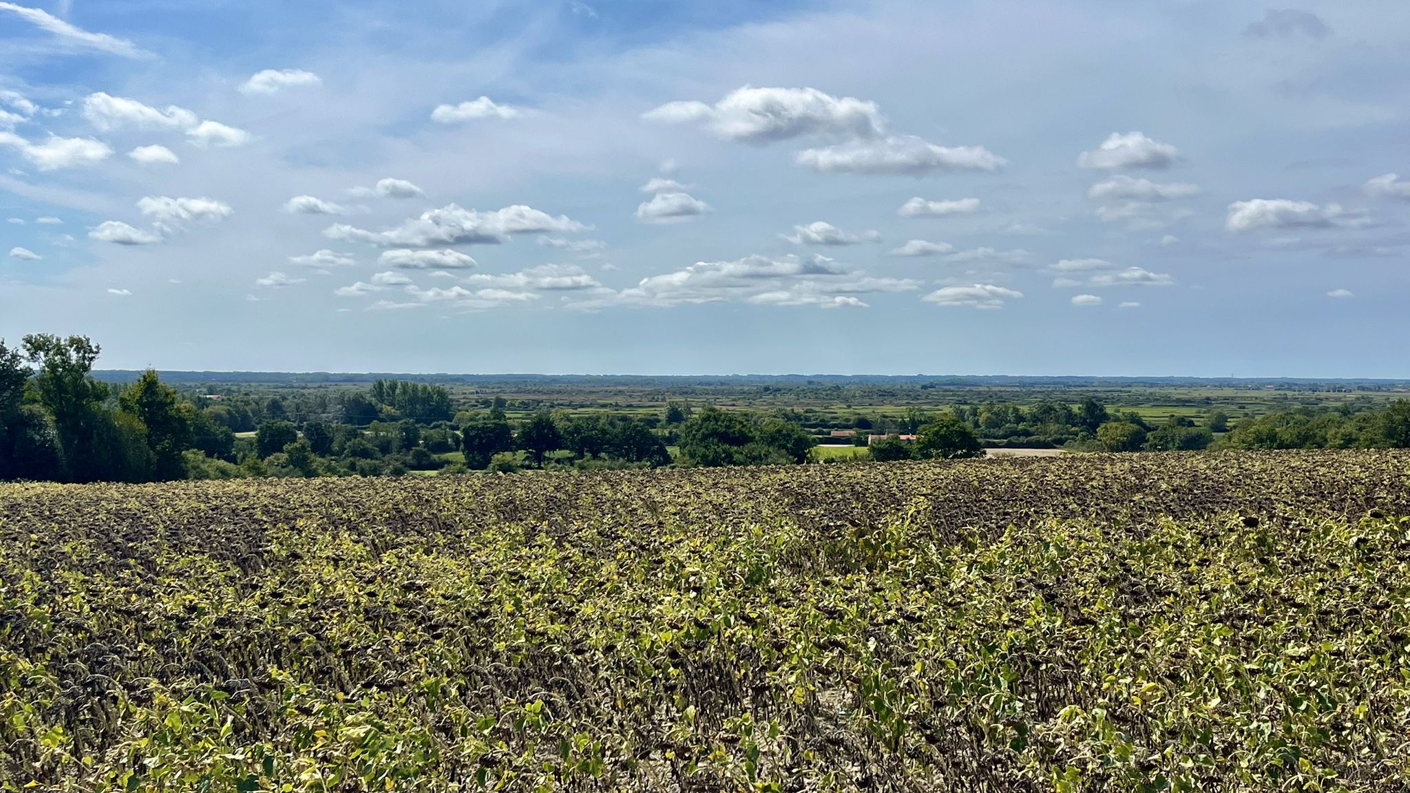 Bissl Ausblick auf die nasse Gegend