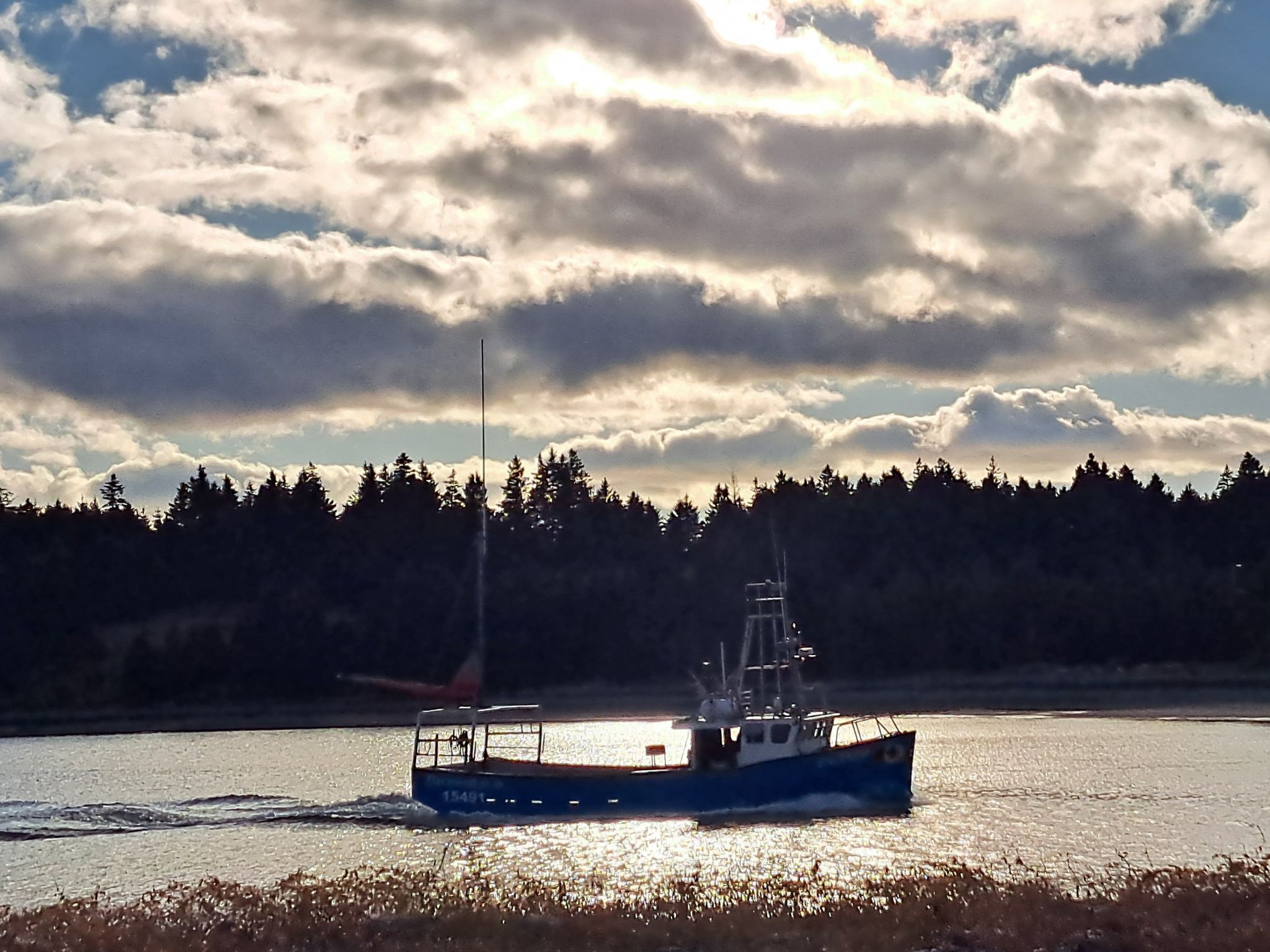 bringing in fish