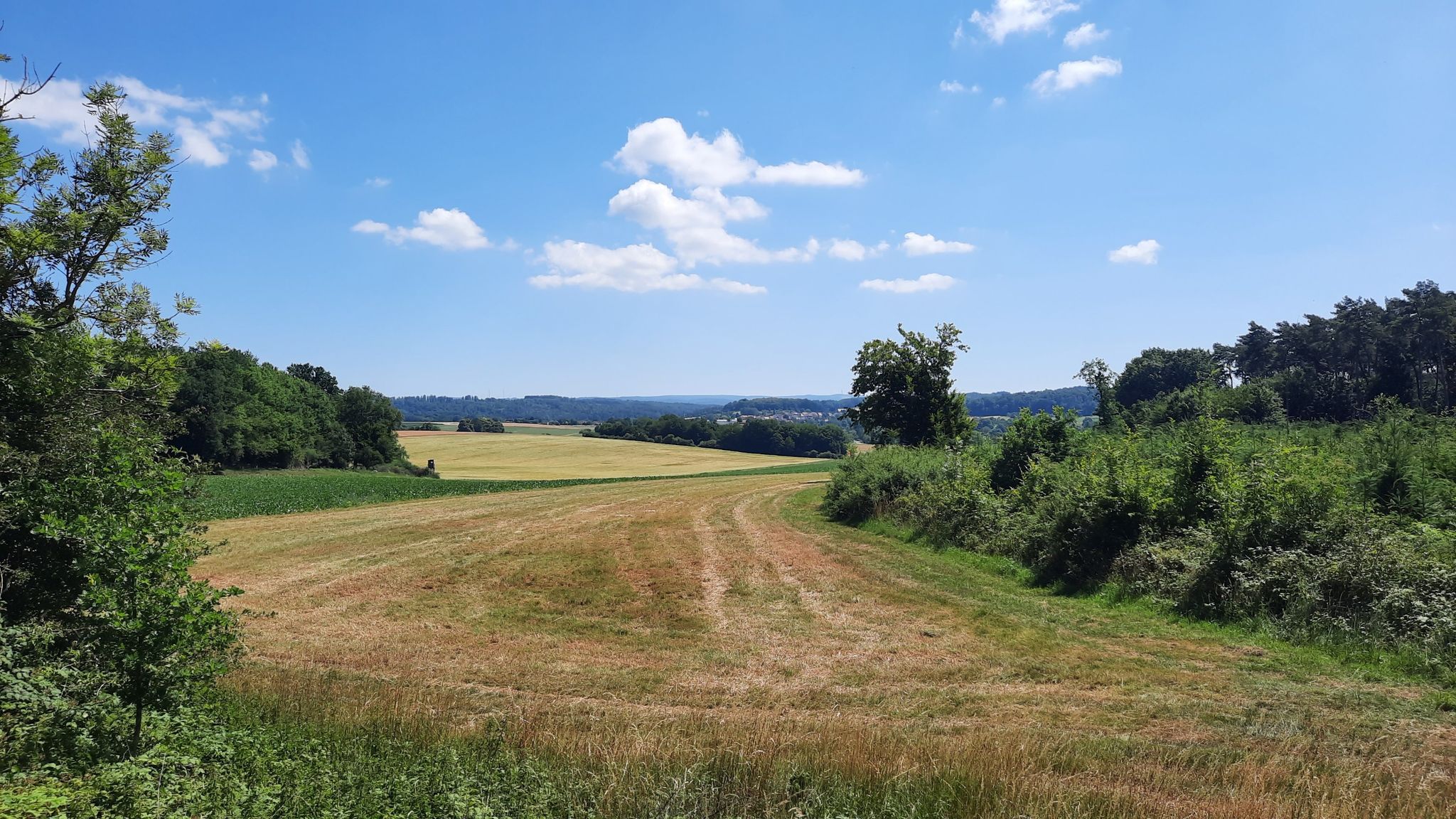 Bahnradweg Hungen Laubach bei Villingen