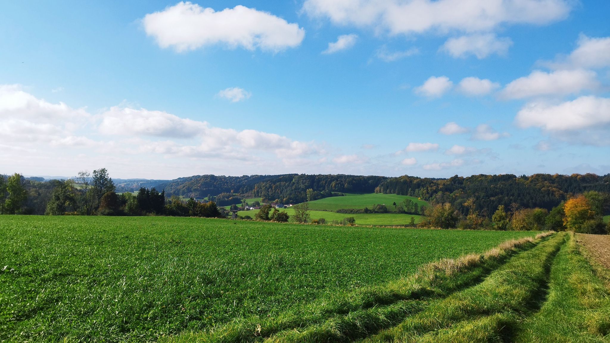 Blick ins Umlachtal