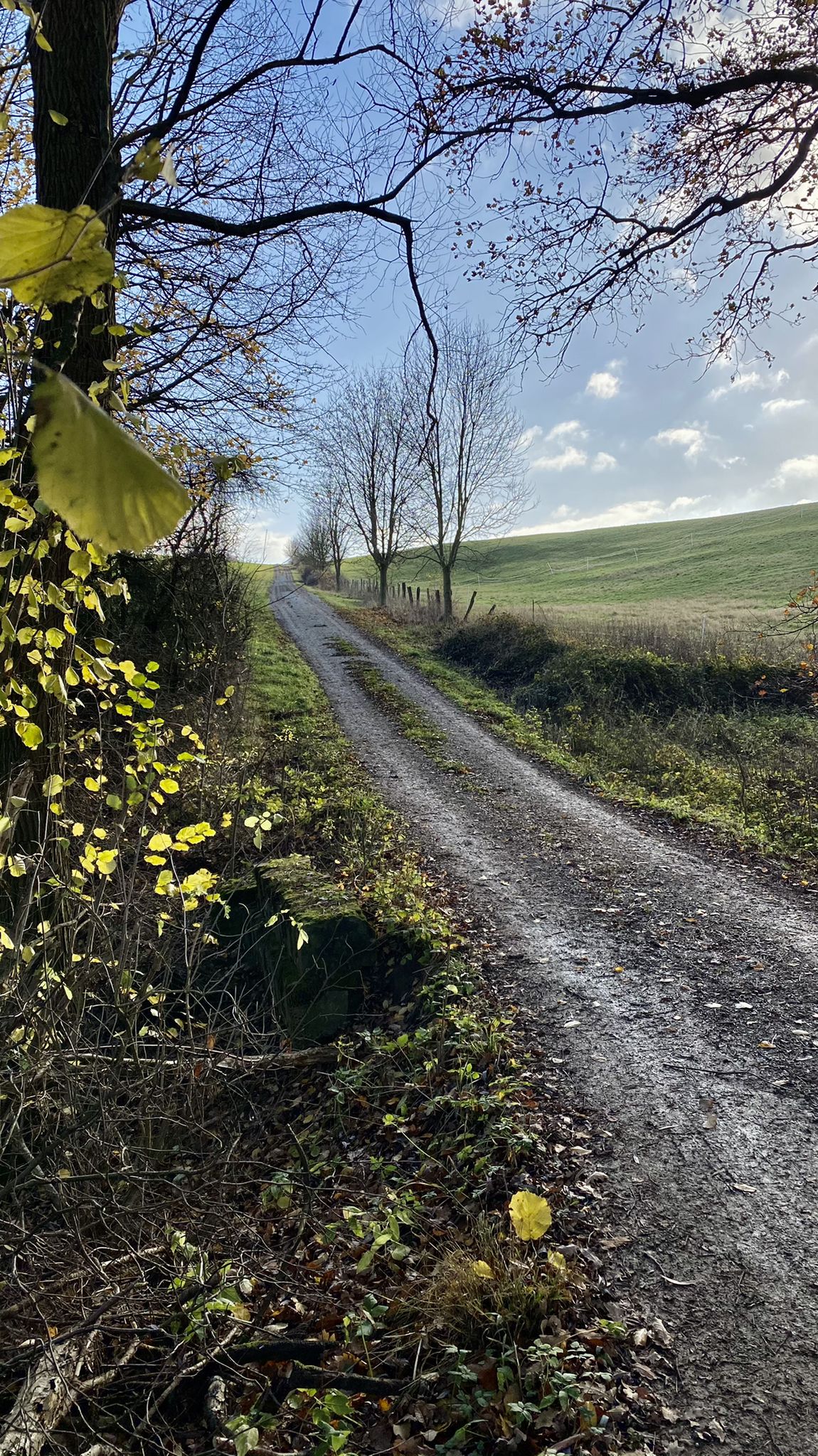 Weiter Richtung Süden