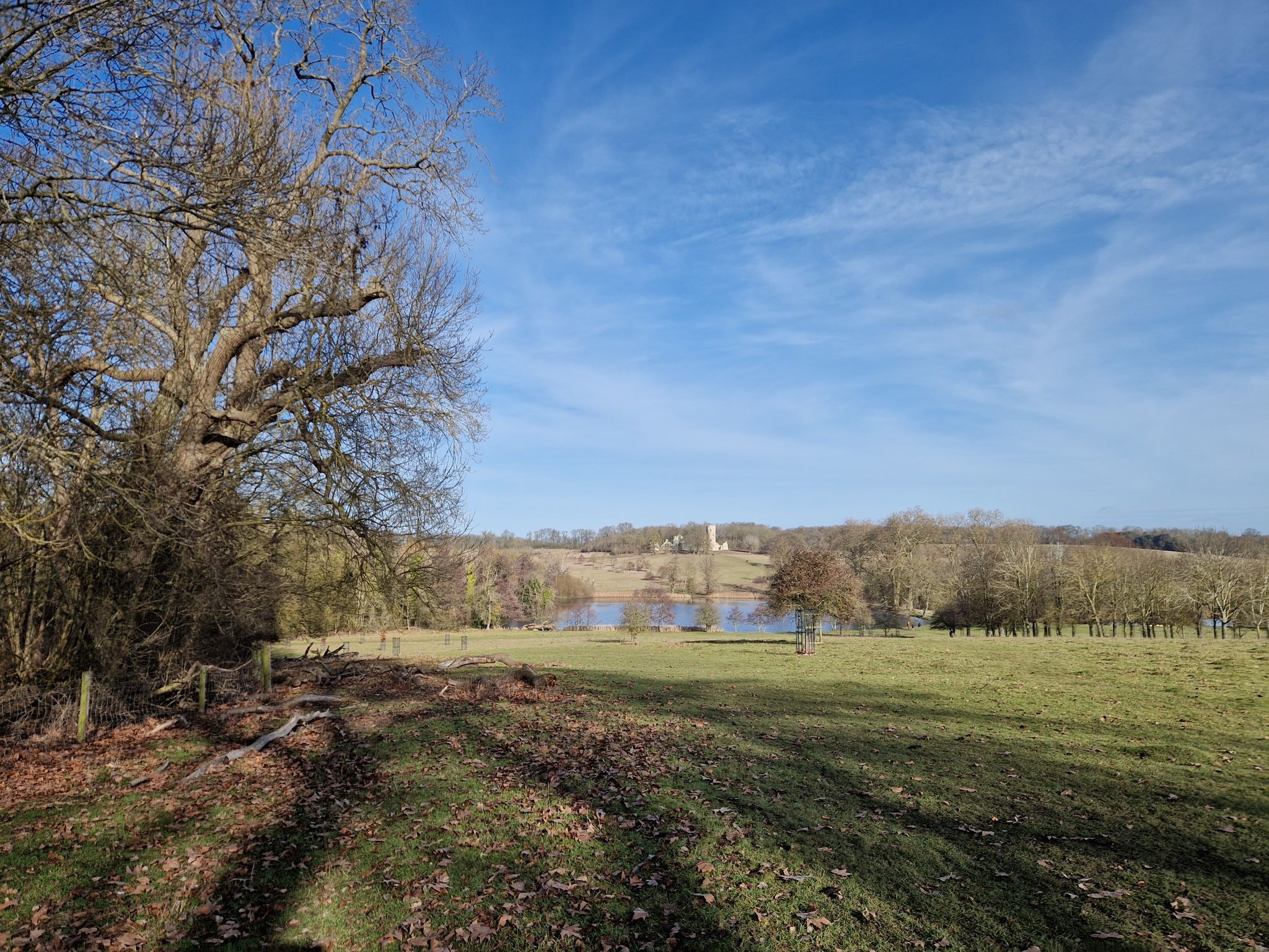 wimpole