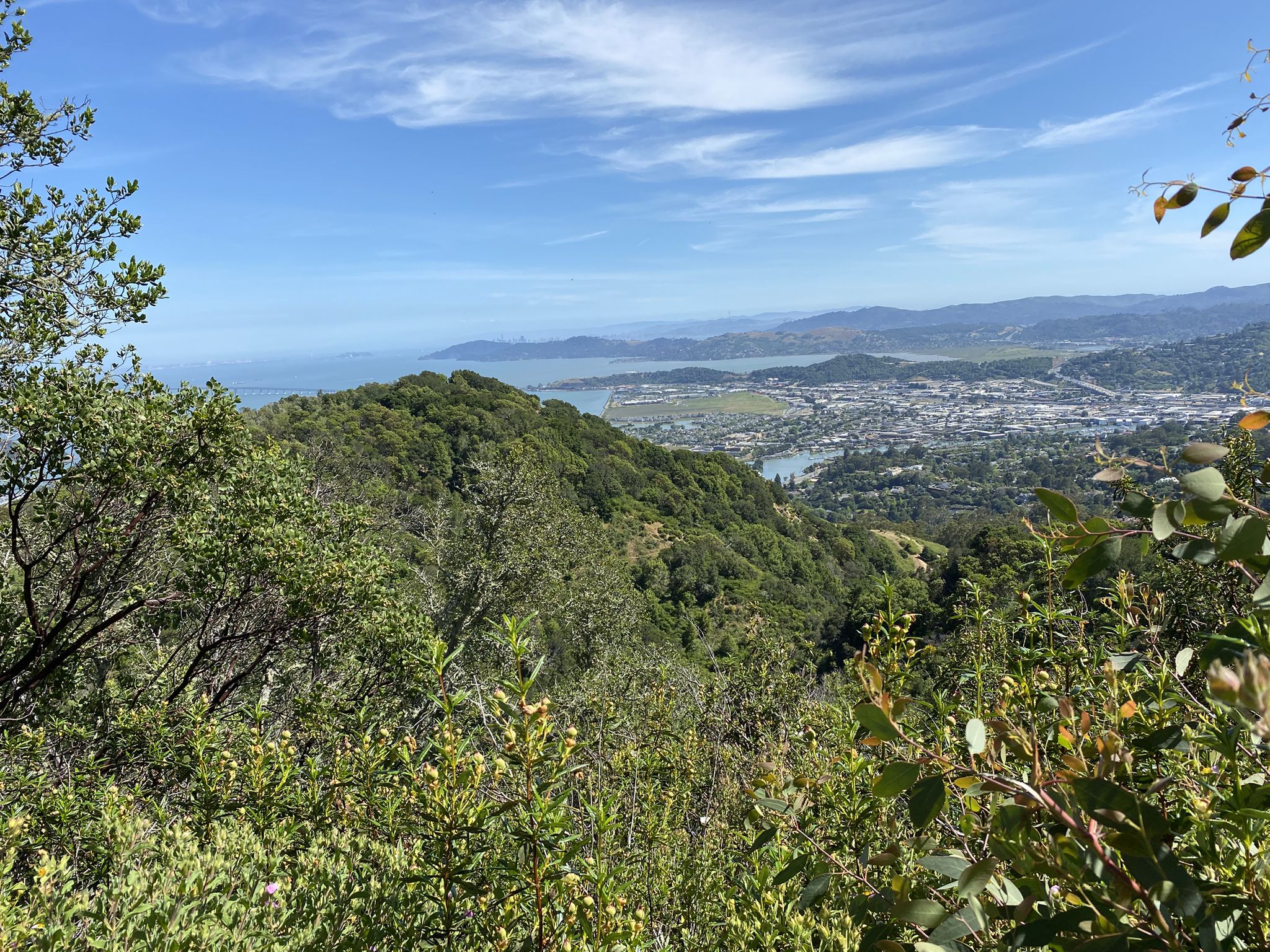 Sunny panoramic view of a city, water, and distant hills from a green slope. - Gold Hill Grade Loop