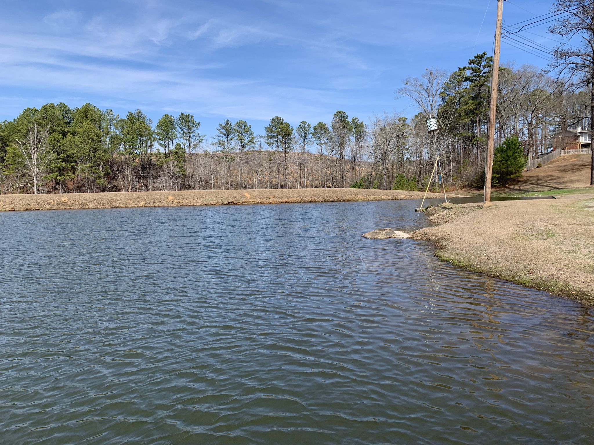 Calm lake with trees under a bright blue sky. - Magic City Loop