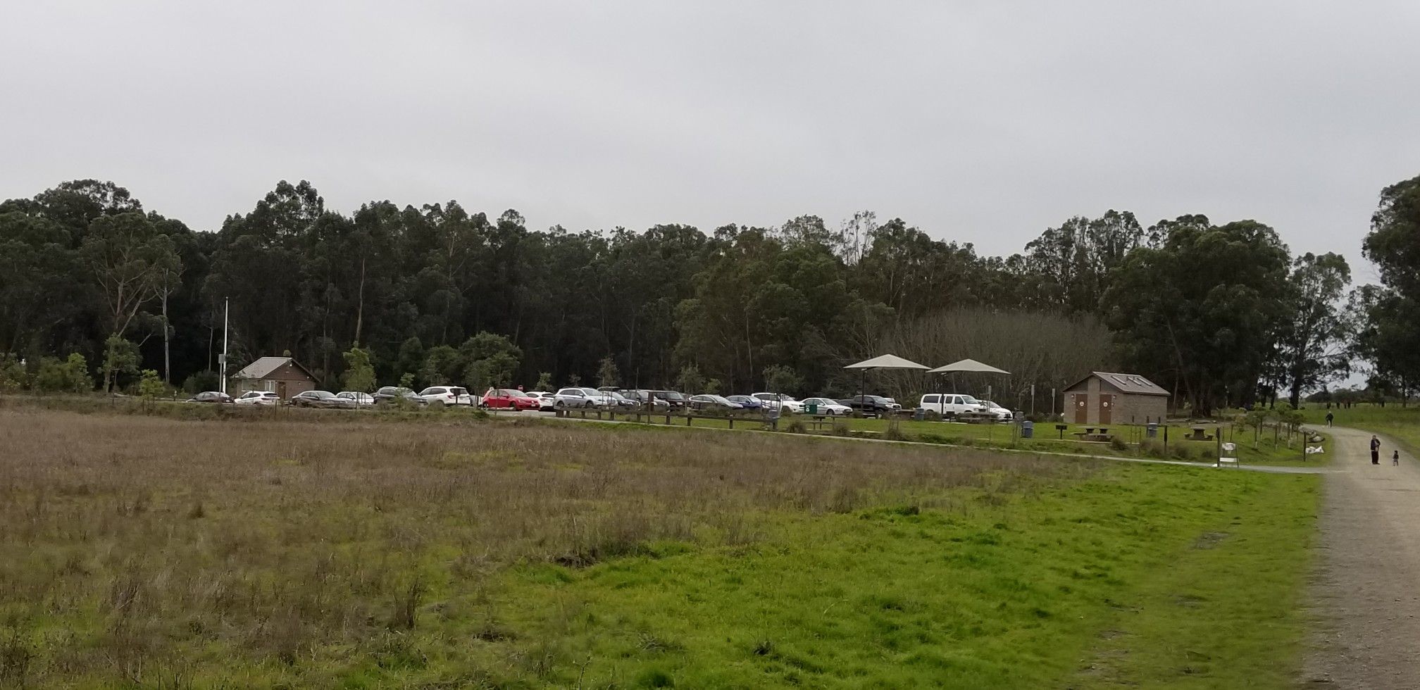 An overcast view of a parking lot next to fields and a forest. - San Francisco Bay Trail