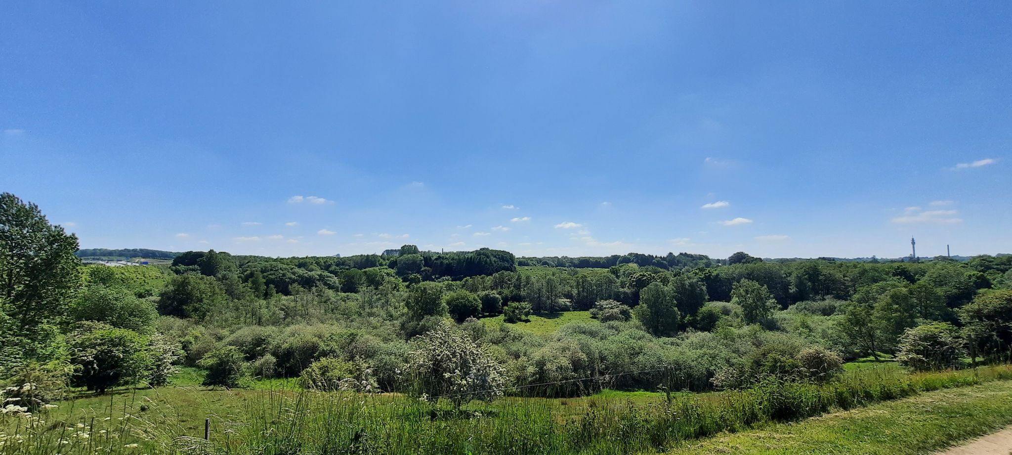 Blick auf das Mølholm Ådal
