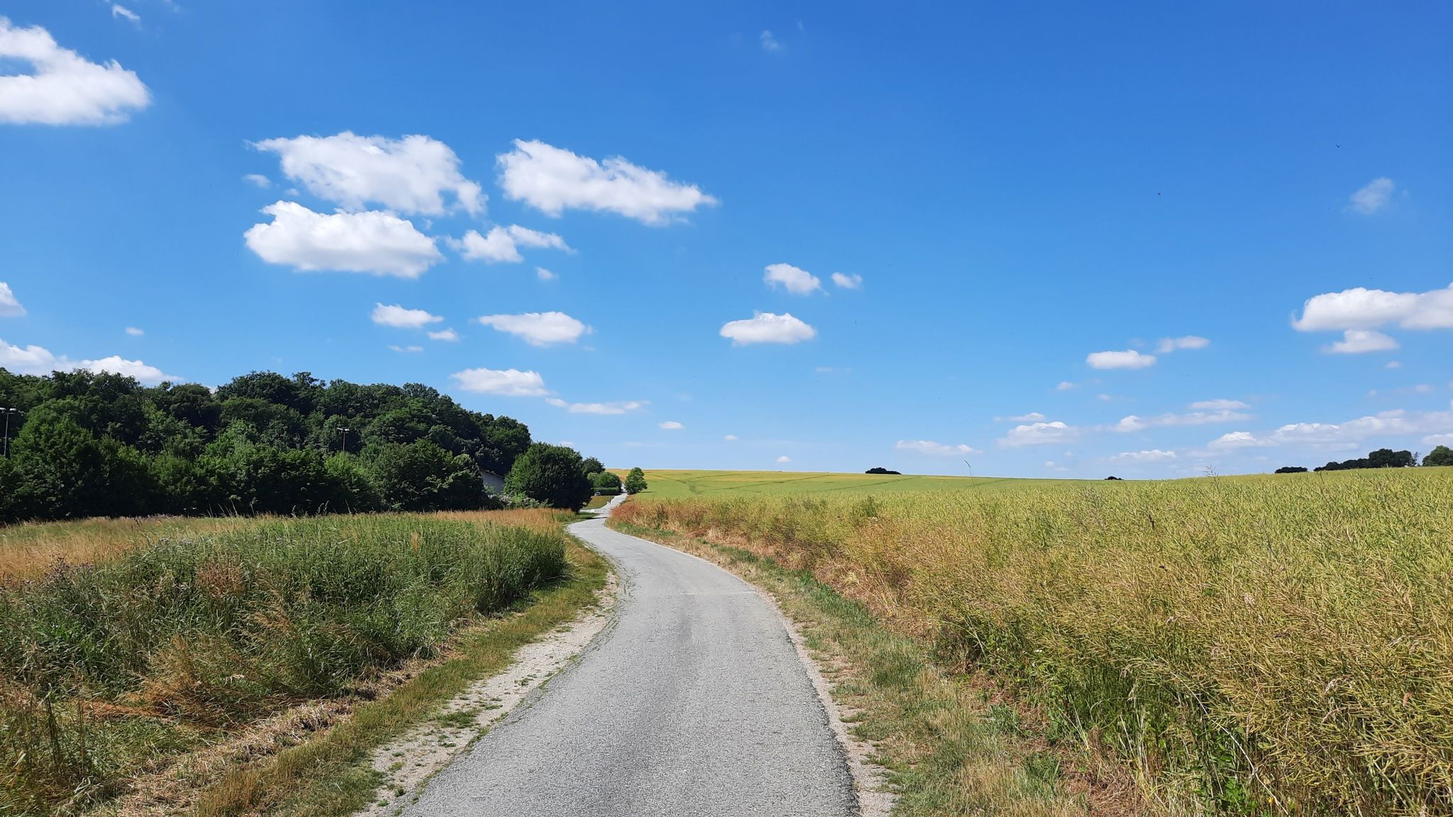 Spreeradweg hinauf zum Humboldthain