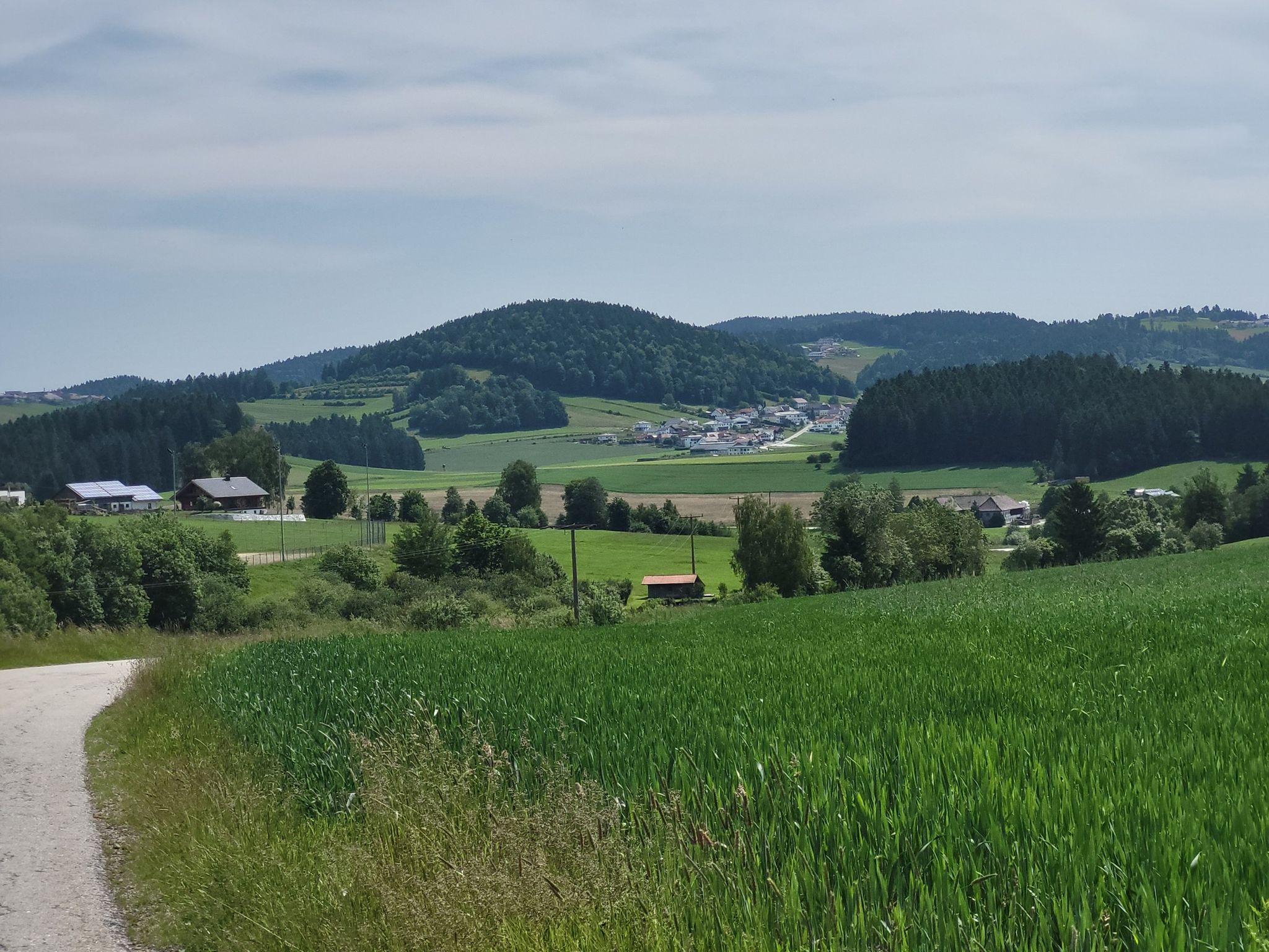 Wegscheid