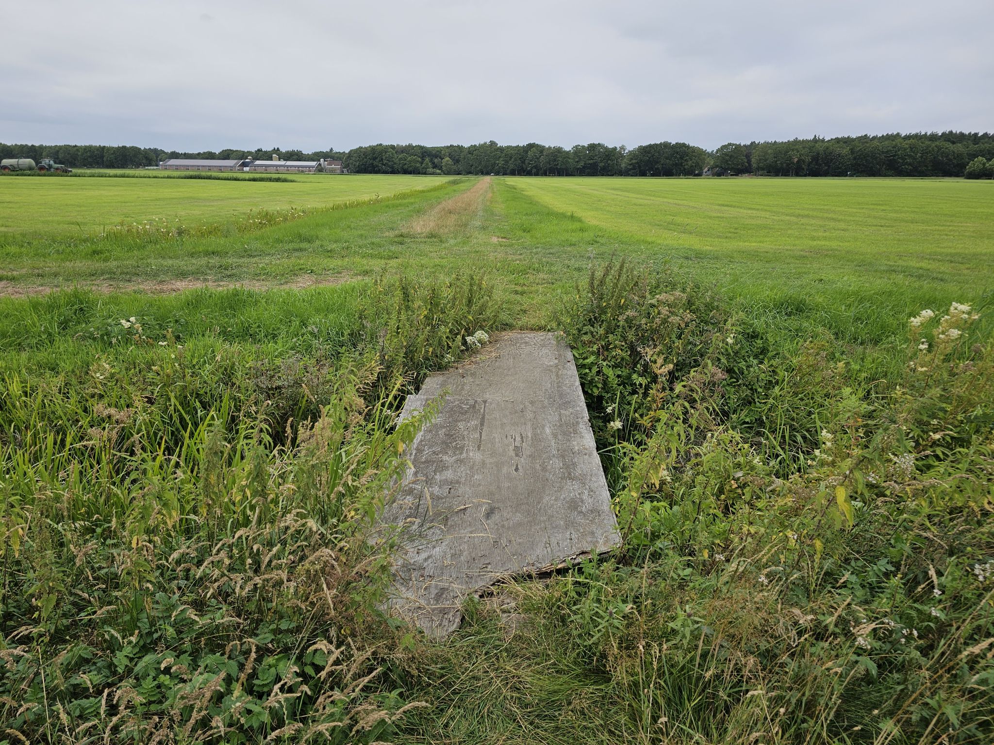 hier neem ik de "brug" en ga de wei door
