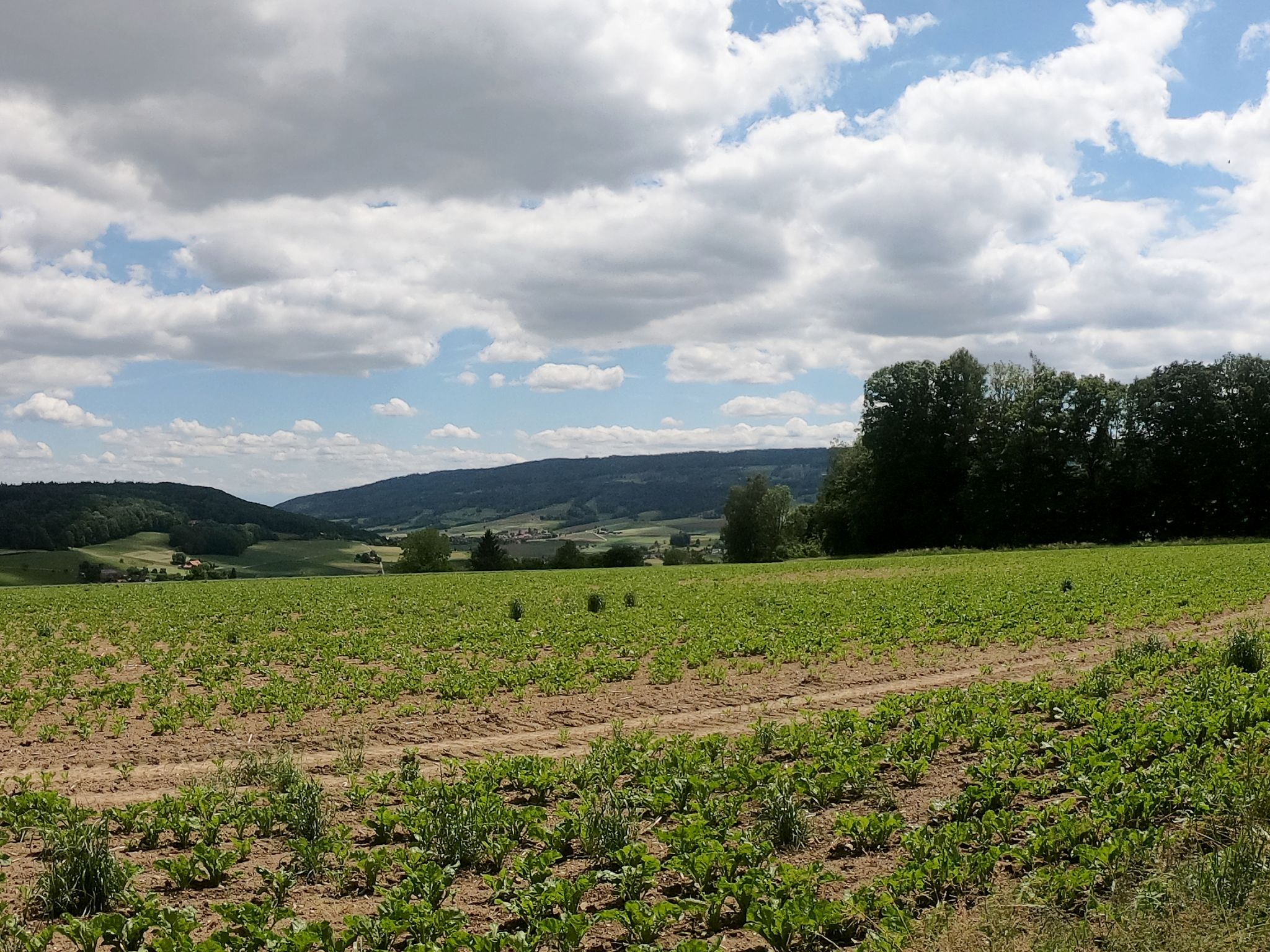 Blick rüber zur Lägern mit dem Hochwacht Radar