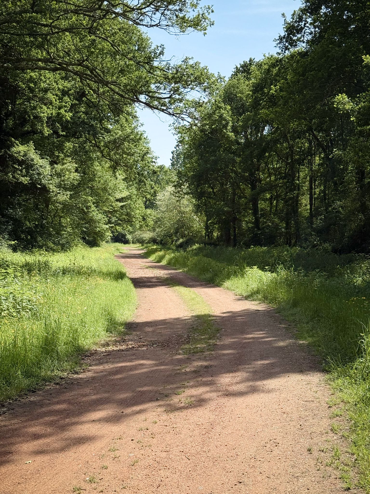 Piste des bords de l'Adour