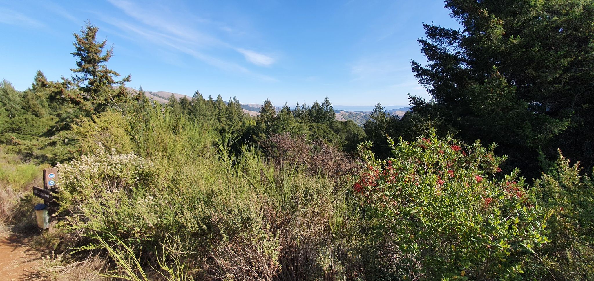 A panoramic view of dense green forest and distant hills under a bright blue sky. - Porcupine Trail loop from Woodacre