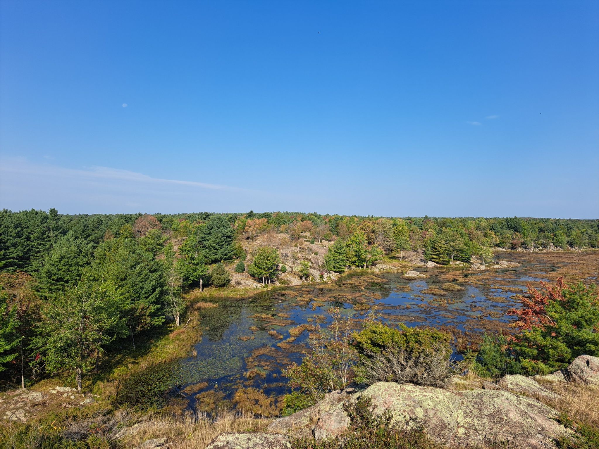 view from top of flagpole hill