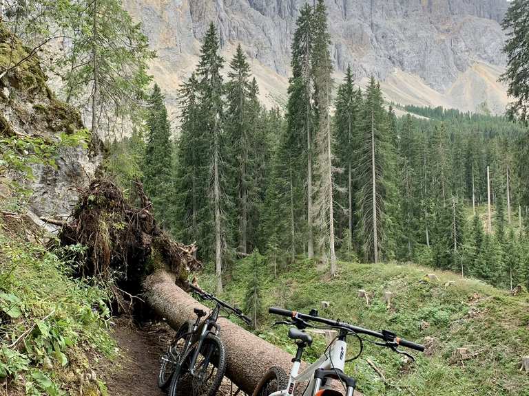 trekkingrad 28 zoll herren nabenschaltung Trekking Fahrrad TR.2855 Bike 2 x 10 Gang NEW SHIMANO CUES RD-U6020-10 SHADOW Blau Schwarz Trekkingbike City Bike Herrenfahrrad Rahmenhöhe 50 52 55 56 60 cm M L XL günstig kaufen End Wrap:1 Black + 1 Blue Cobi Test: Ist das Plate Carrier