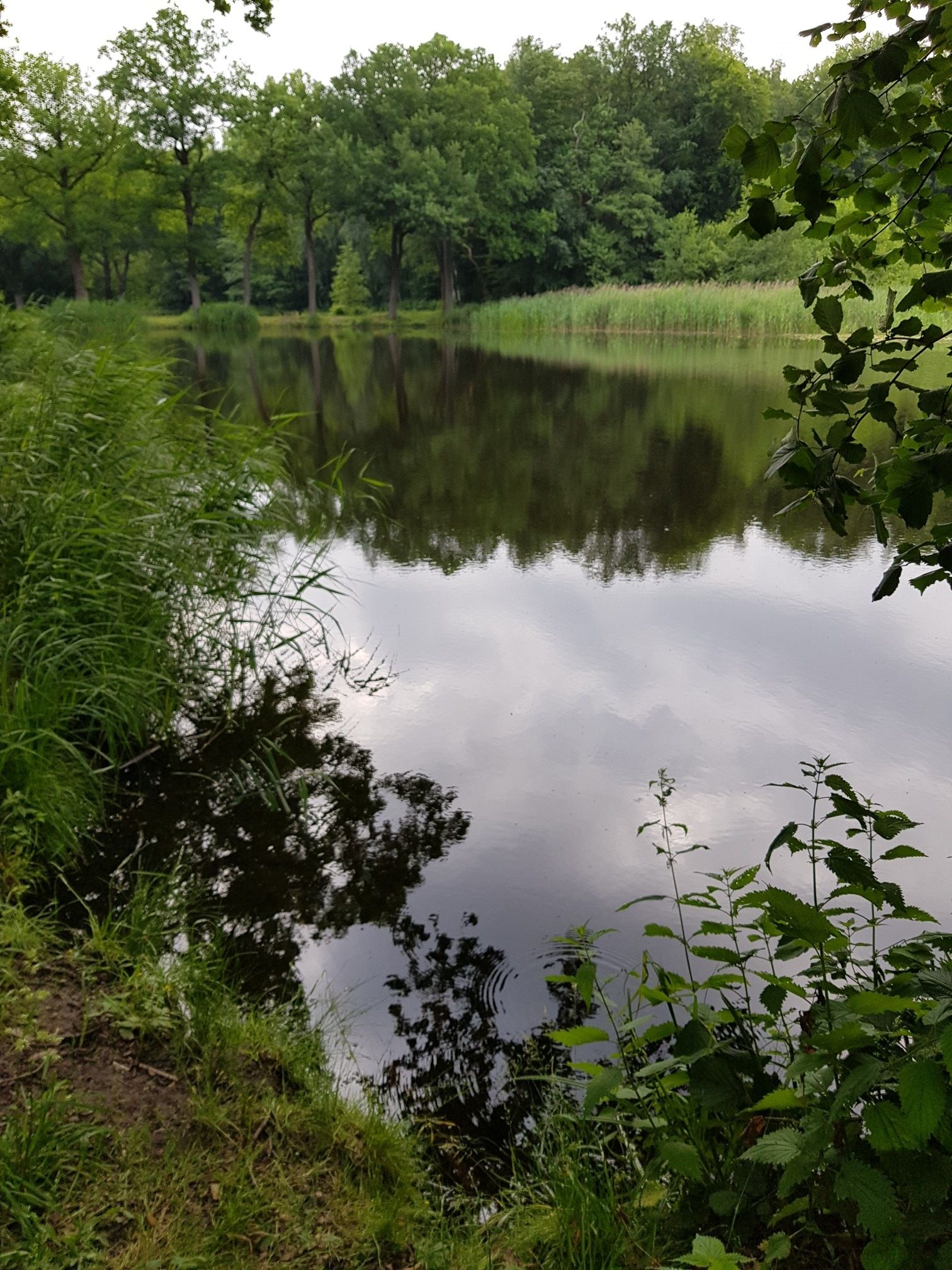 Am See