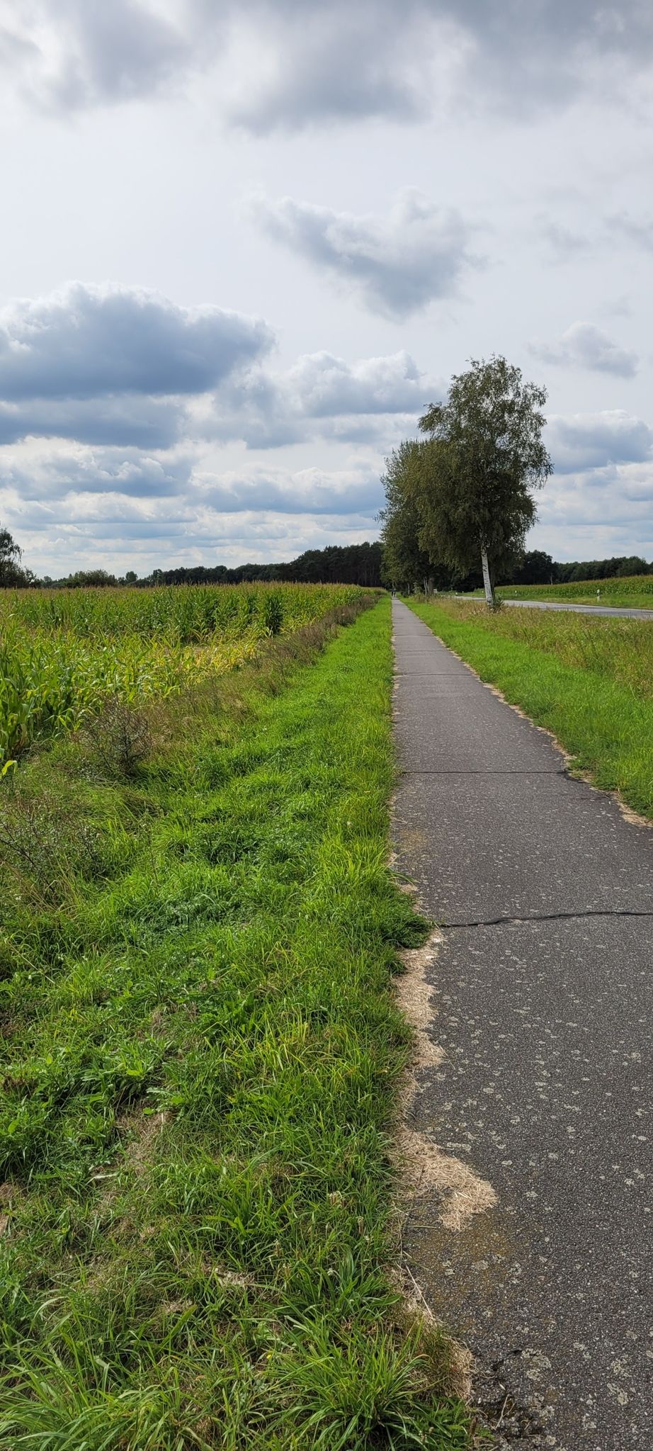 Radweg Kirch Jesar