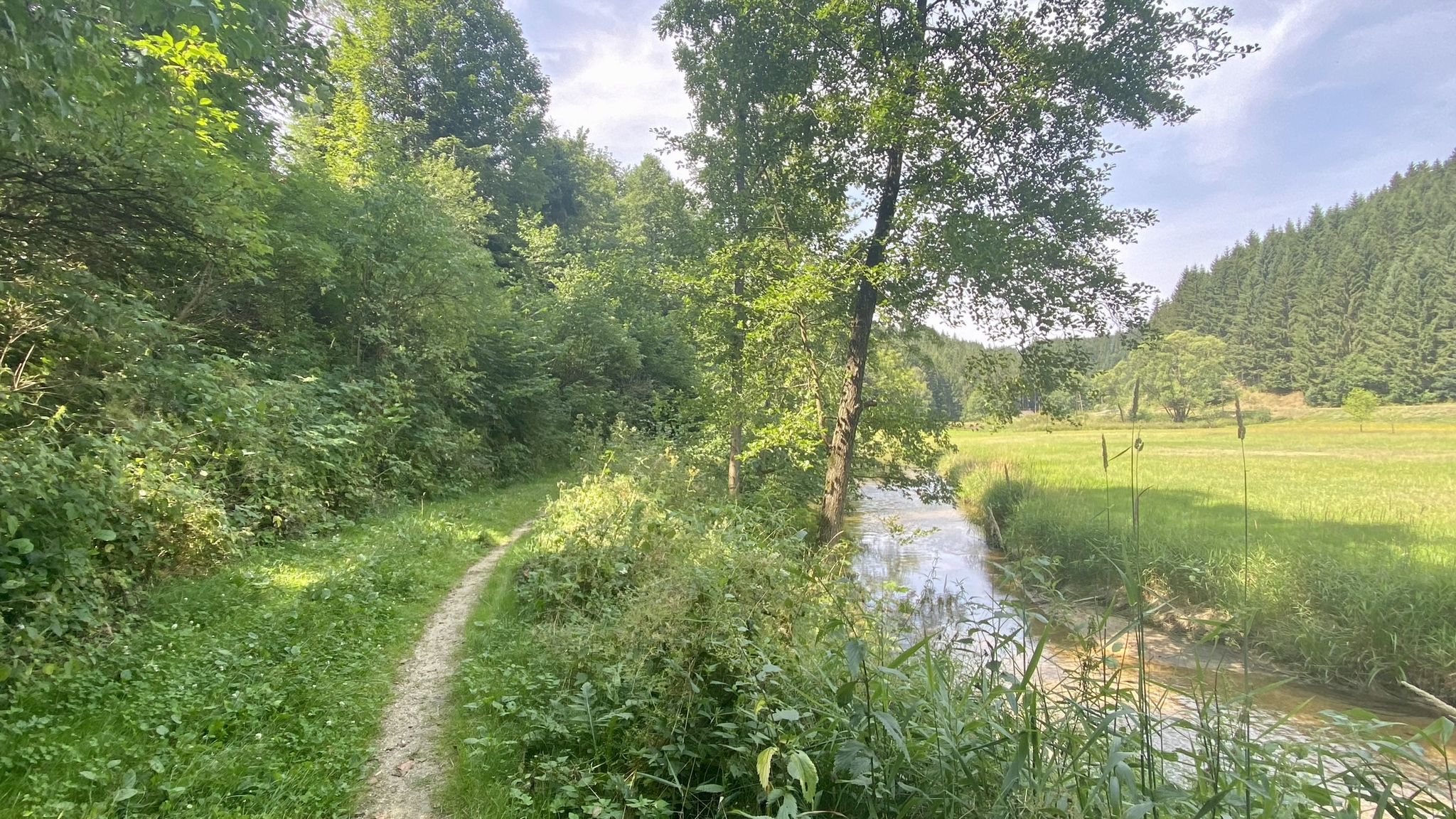Singletrail an der Naarn