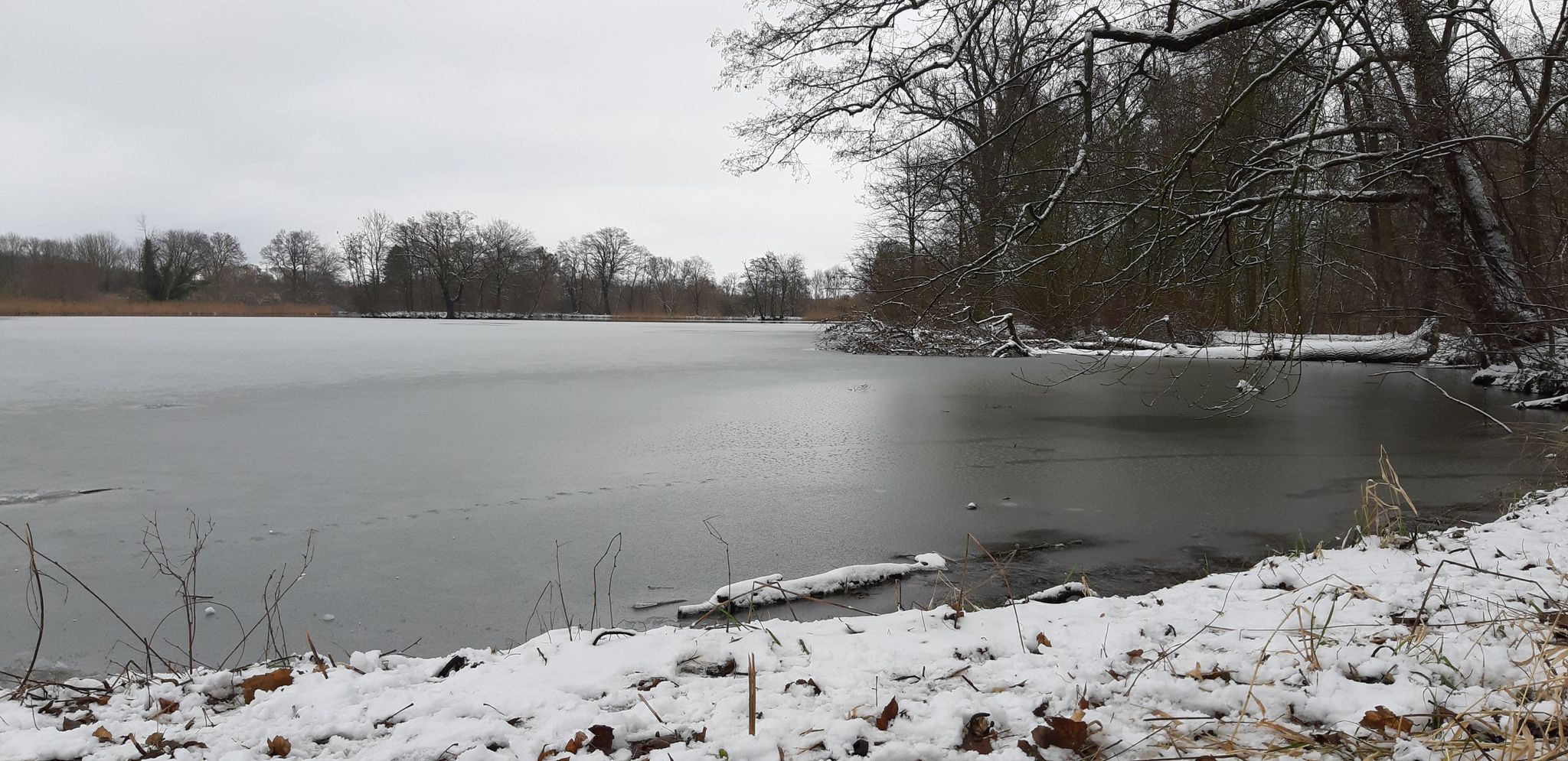 Fischteiche