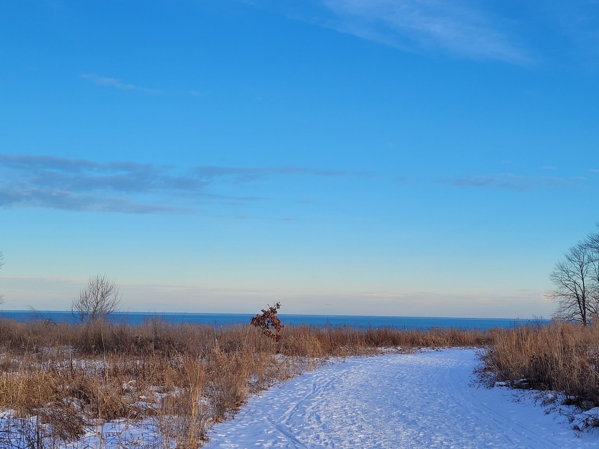 Snowy path through dry grass leading towards a calm blue body of water. - Fort Sheridan Birding Trail Loop