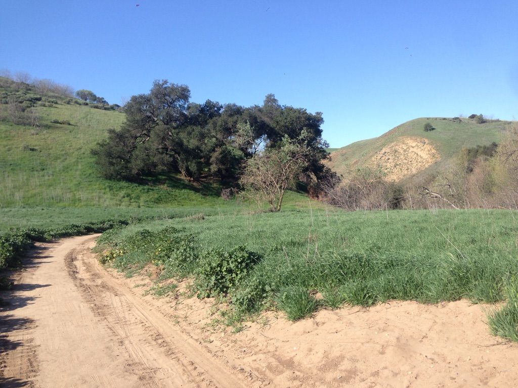A winding dirt path through green grassy hills under a clear sky. - Telegraph Canyon North Ridge Loop Trail