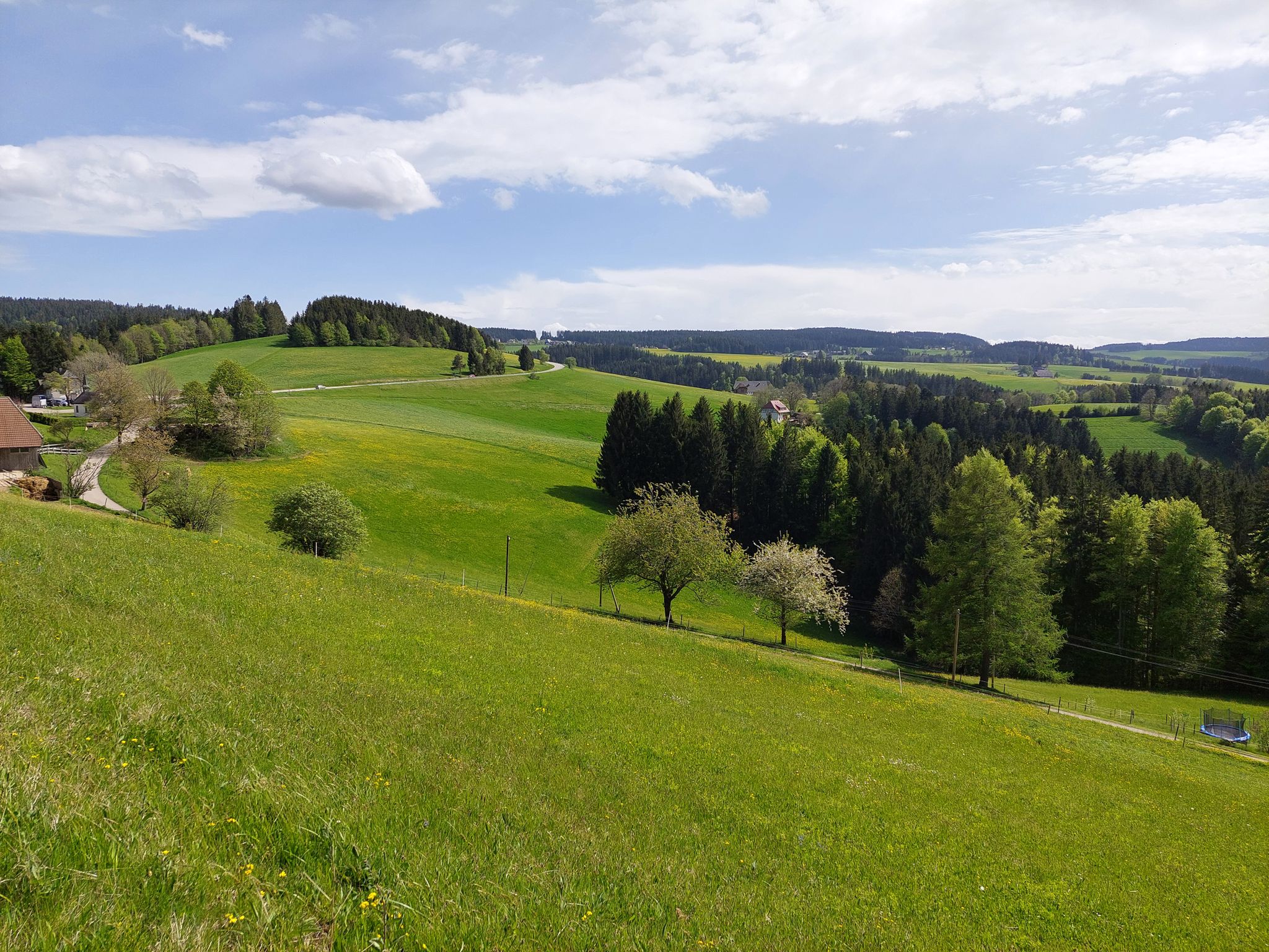L128, Feldbergstraße, kurz vor dem Neuhäusle