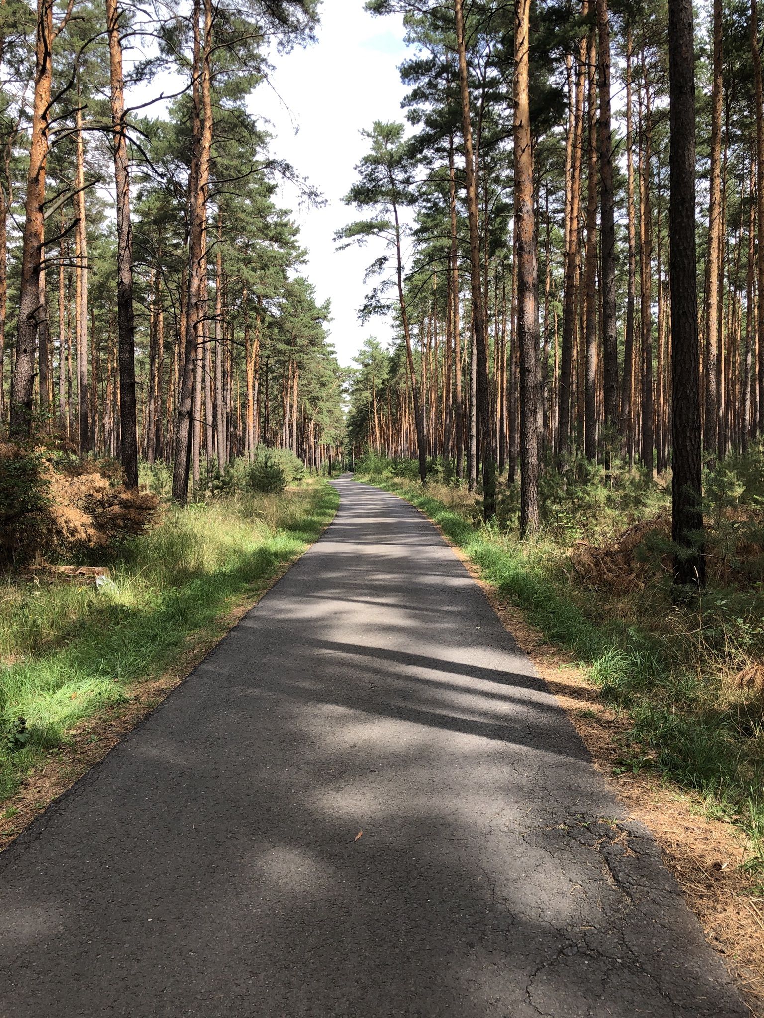 Fahrradstraße zwischen Lübbinchen und Pinnow