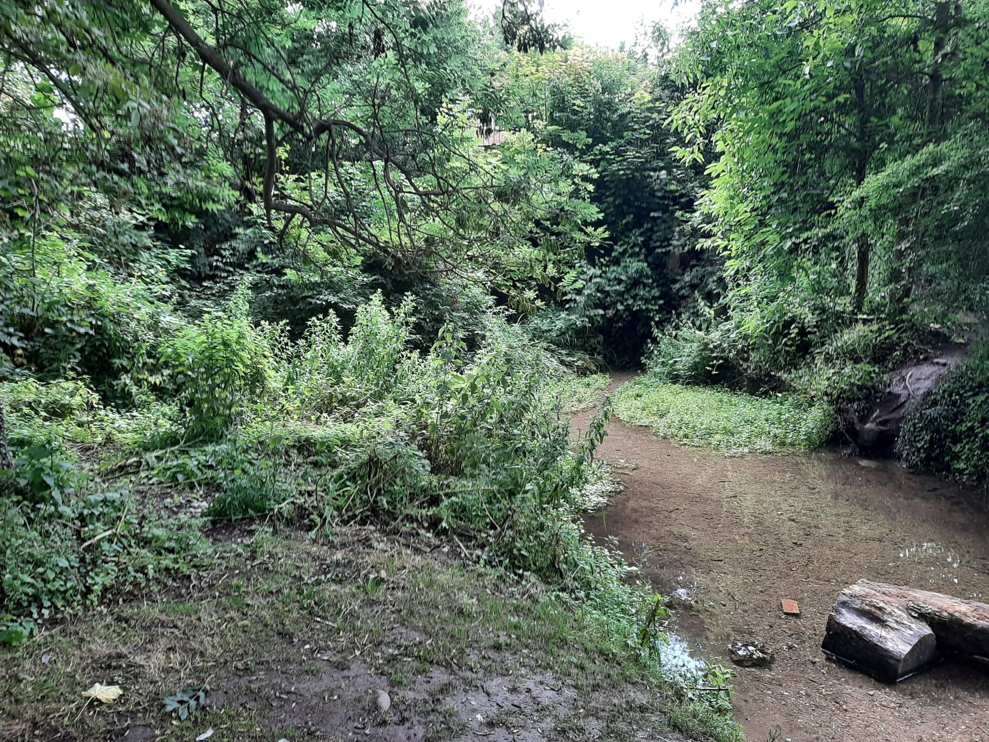 Ashwell Springs. Source of the River Rhee (or Cam).