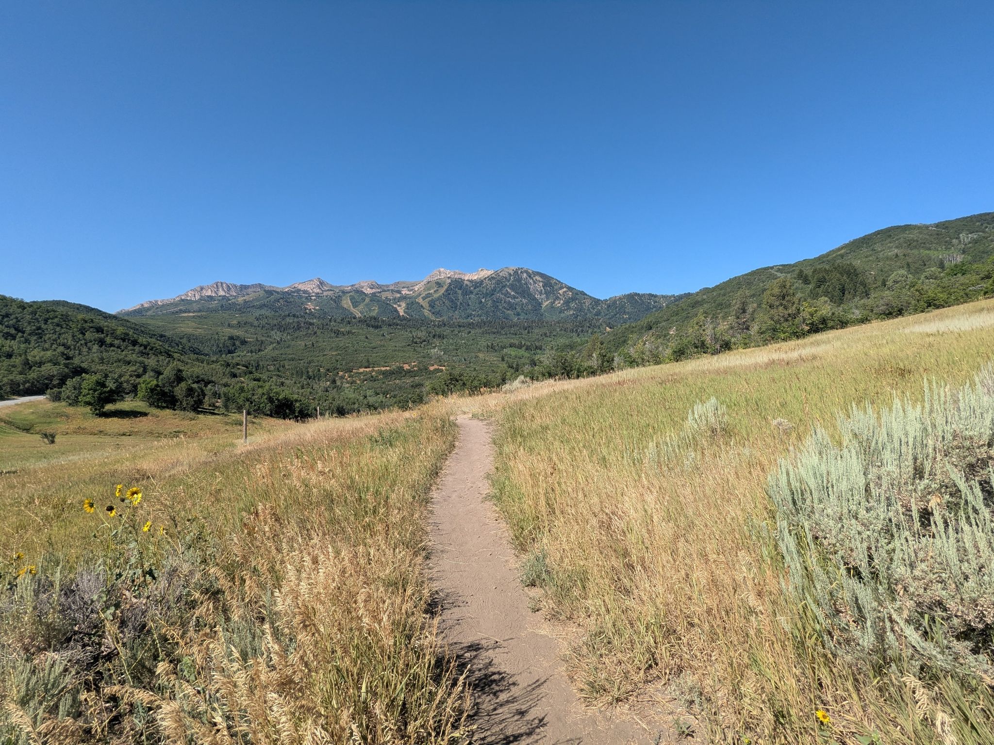 Sunny dirt path through a dry grassy field towards distant mountains. - Green Pond loop from Green Pond Trailhead