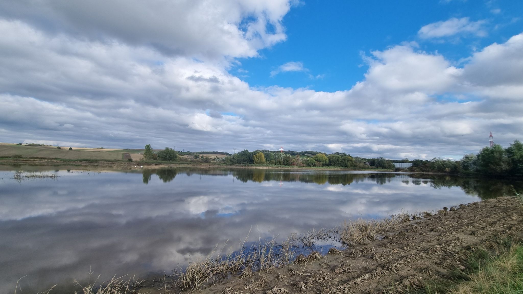 auch die Rüben sind noch unter Wasser