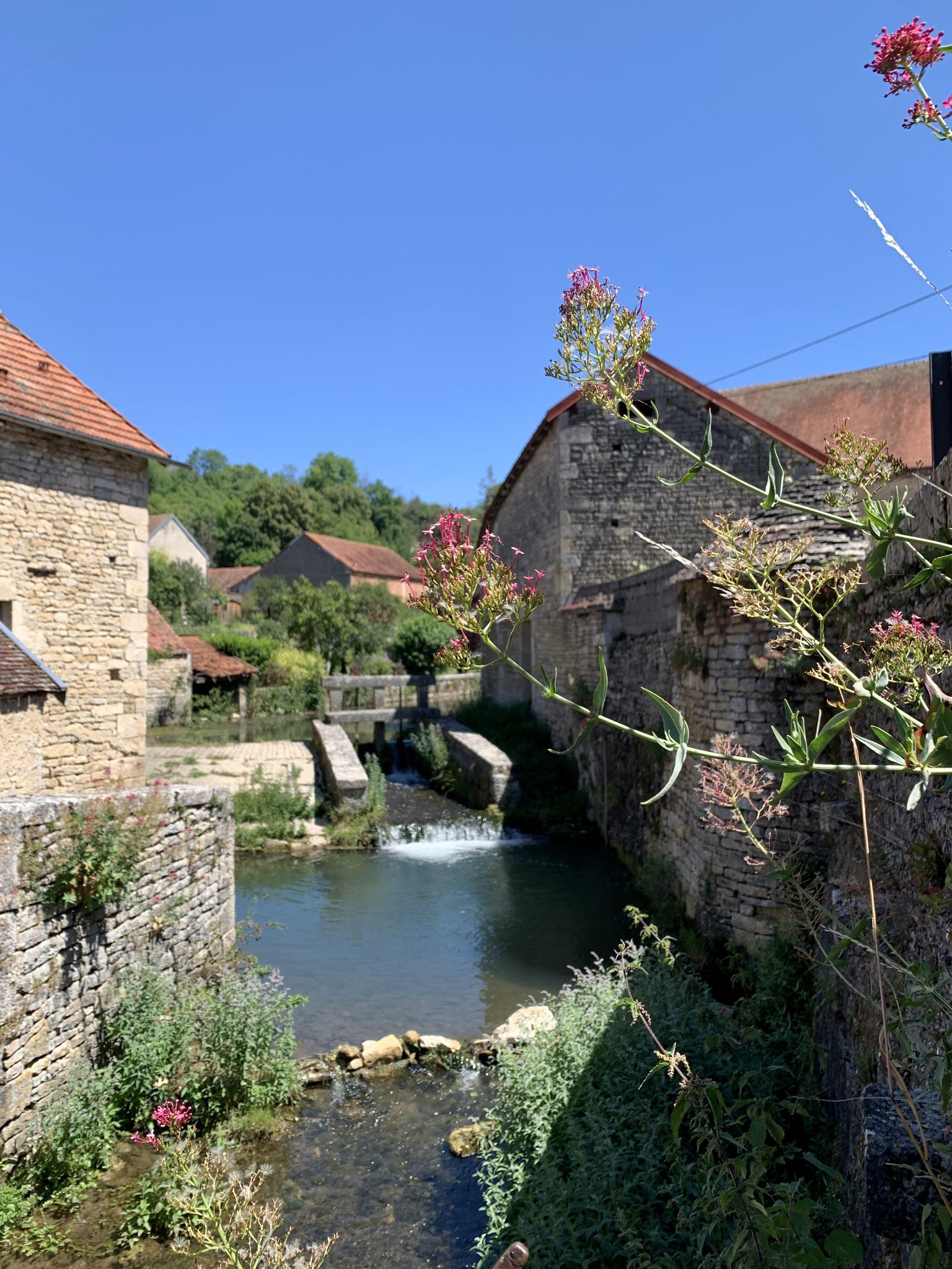 La Coquille, Aignay-le-Duc