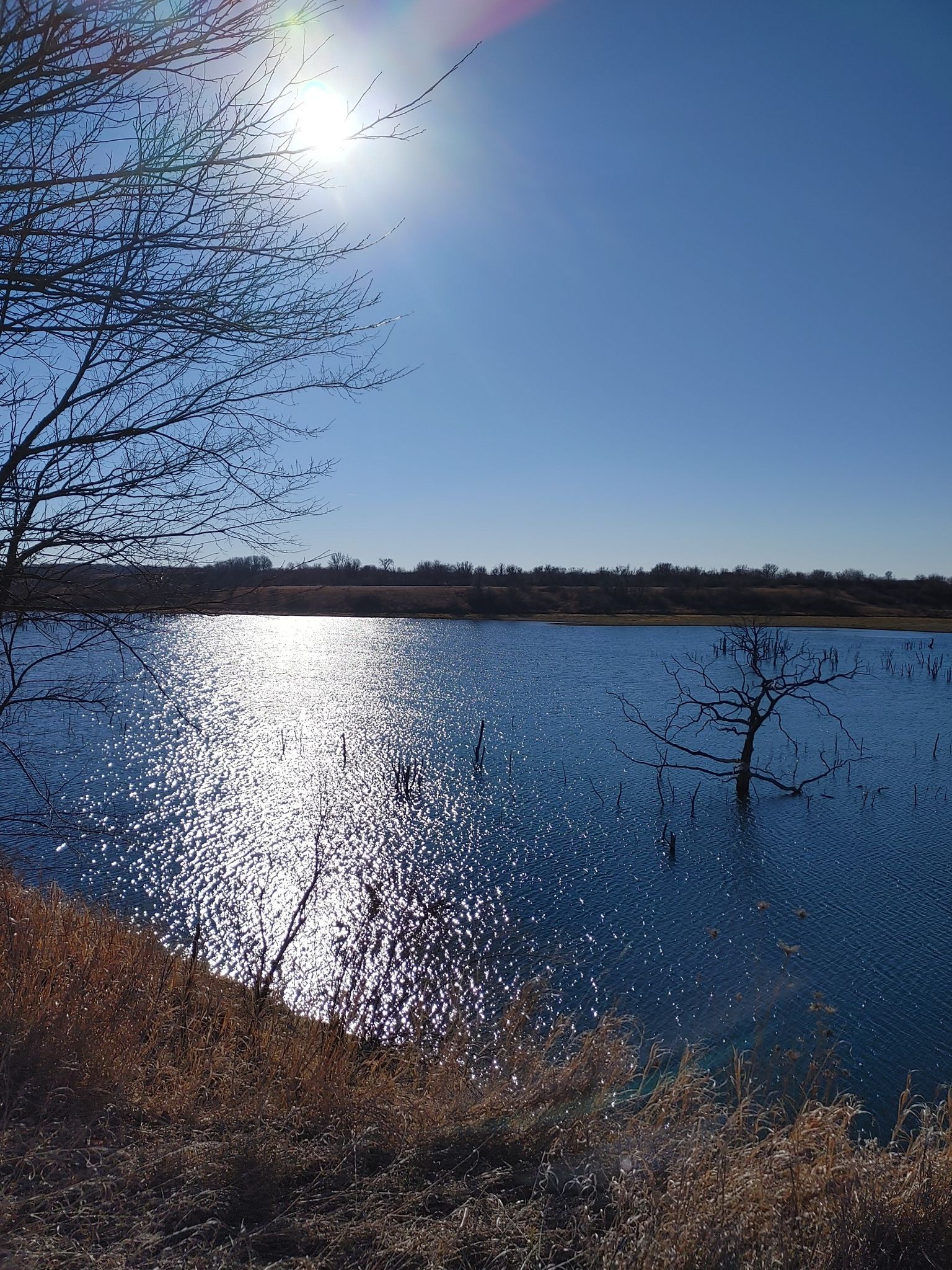 Bright sun reflects on a lake with bare trees and dry grass. - Lake Trail loop