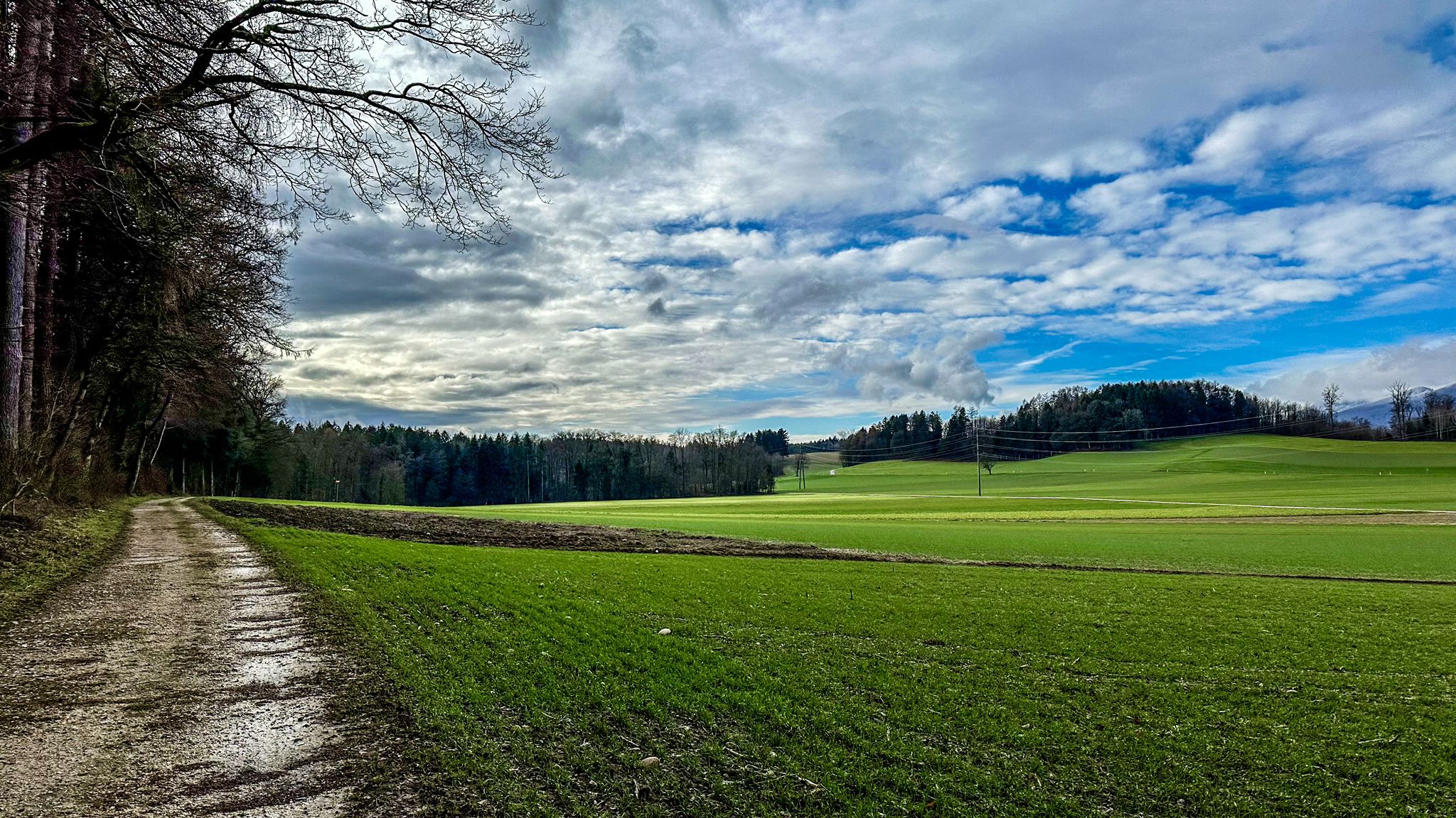 ...am Waldrand entlang...