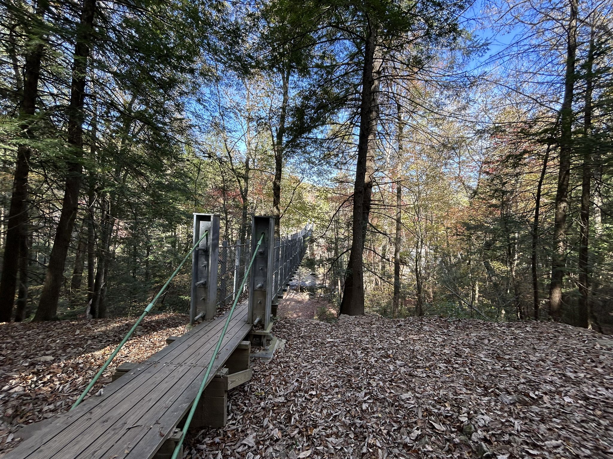 A wooden suspension bridge extends into a sunlit autumn forest with fallen leaves. - Lower Loop and Piney Creek Falls Trail