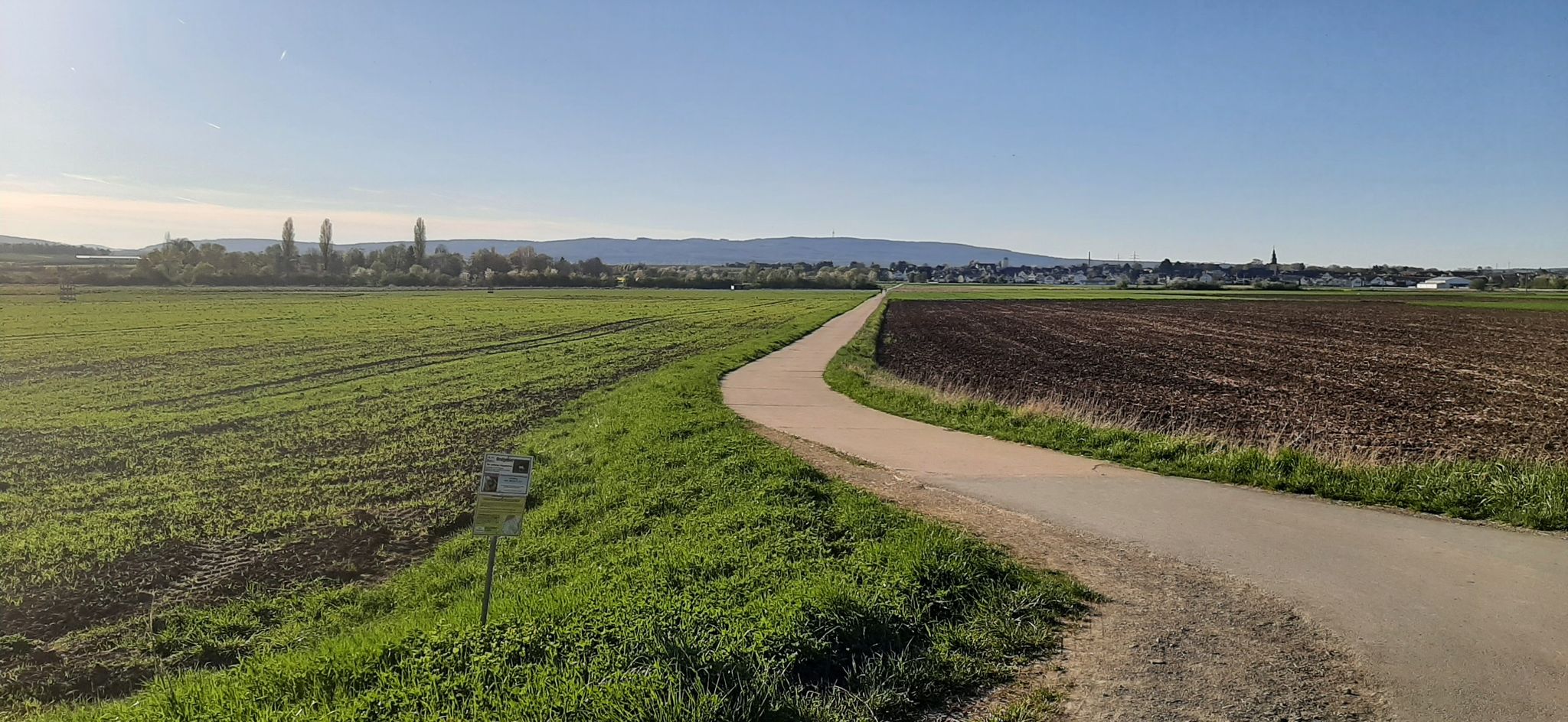Blick über Nieder-Wöllstadt zum Taununs, im Hintergrund der markante "Fernseh"-Turm auf dem Steinkopf